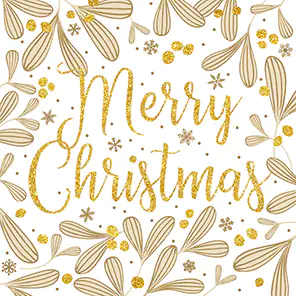 Braun & Company Servietten Sparkl.Mistletoes weiß 33 x 33 cm - 20er Pack