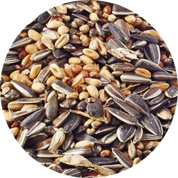 4000610078976_01 Elles Streufutter für Wildvögel 5 kg Das knackige Basismüsli