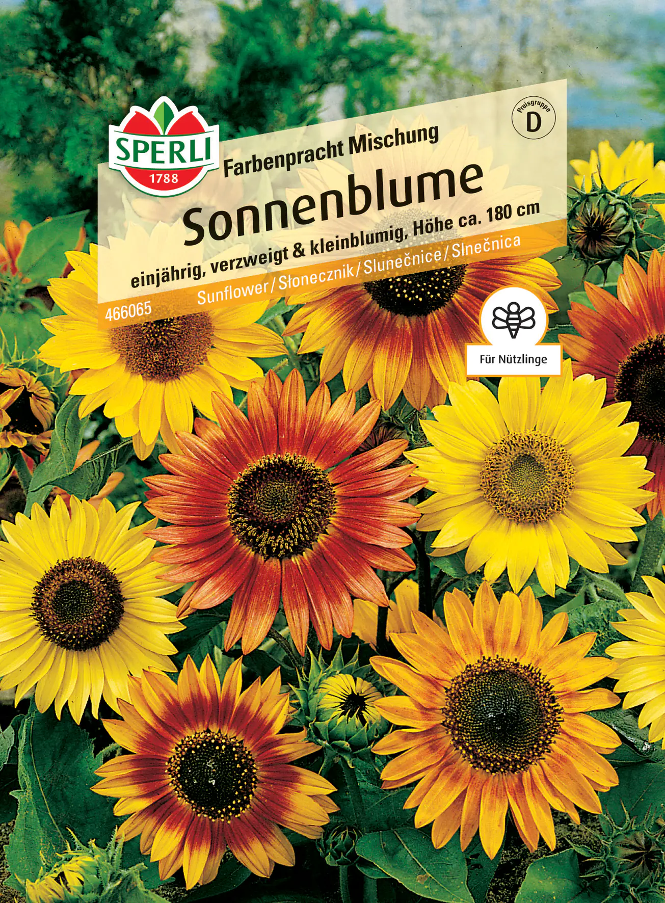 Sperli Sonnenblume Farbenpracht Mischung