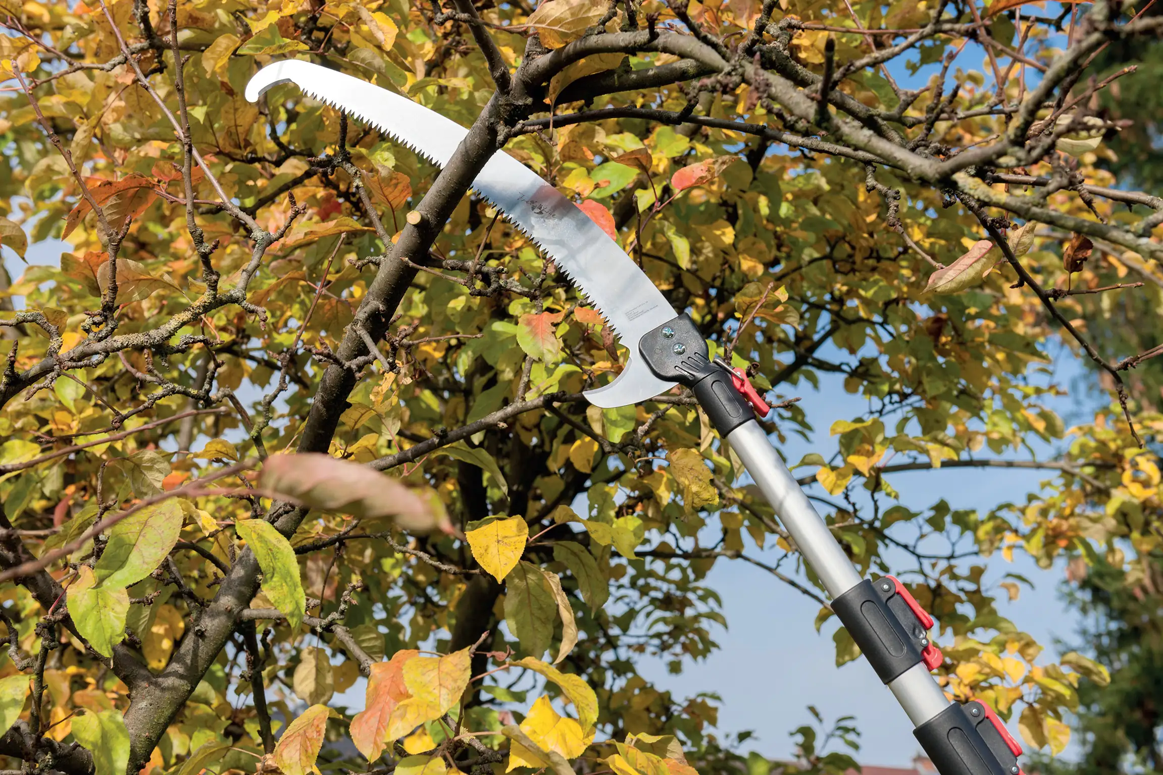 4333692037815 Primaster Profi-Astsägen-Aufsatz