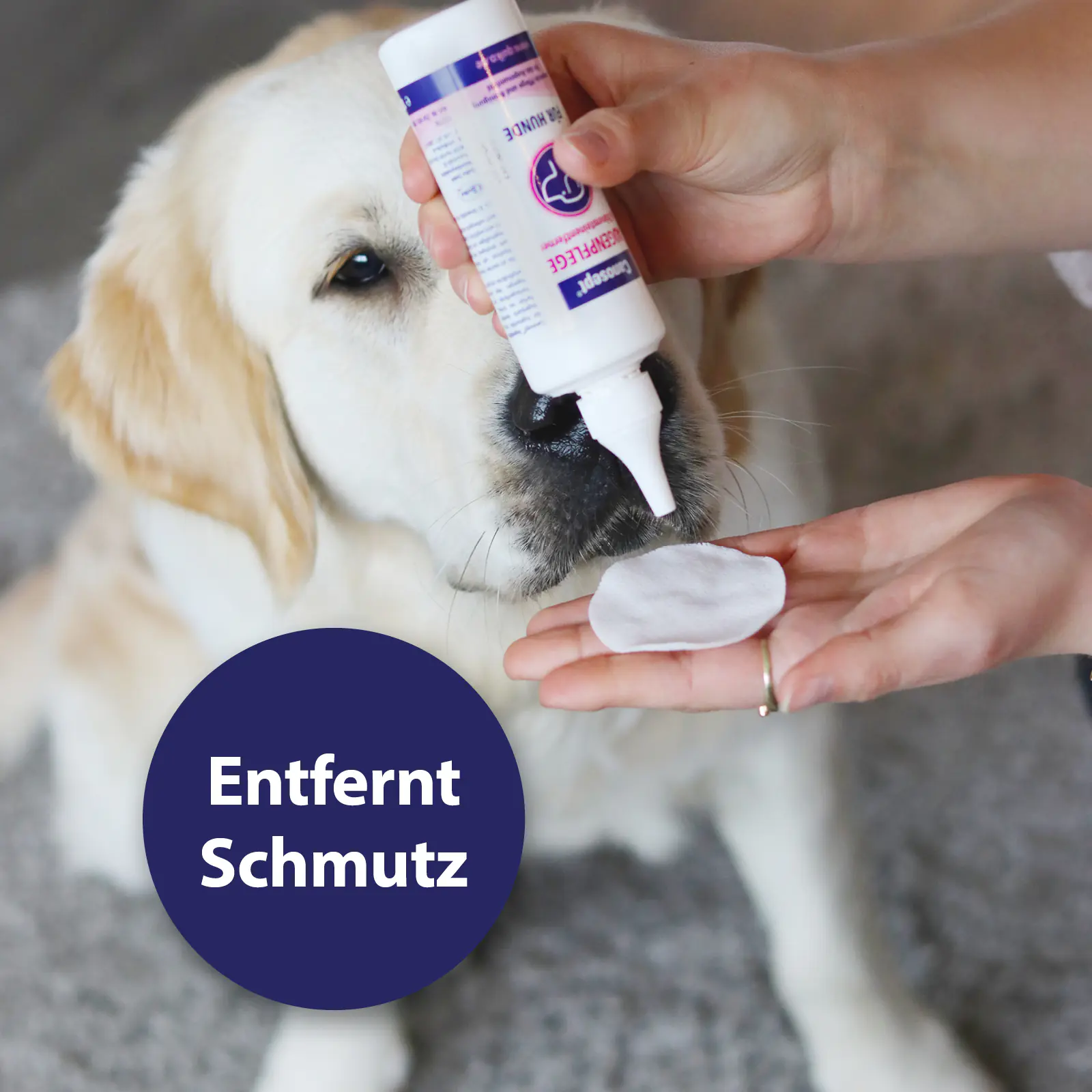 Canosept Augenpflege für Hunde 120 ml