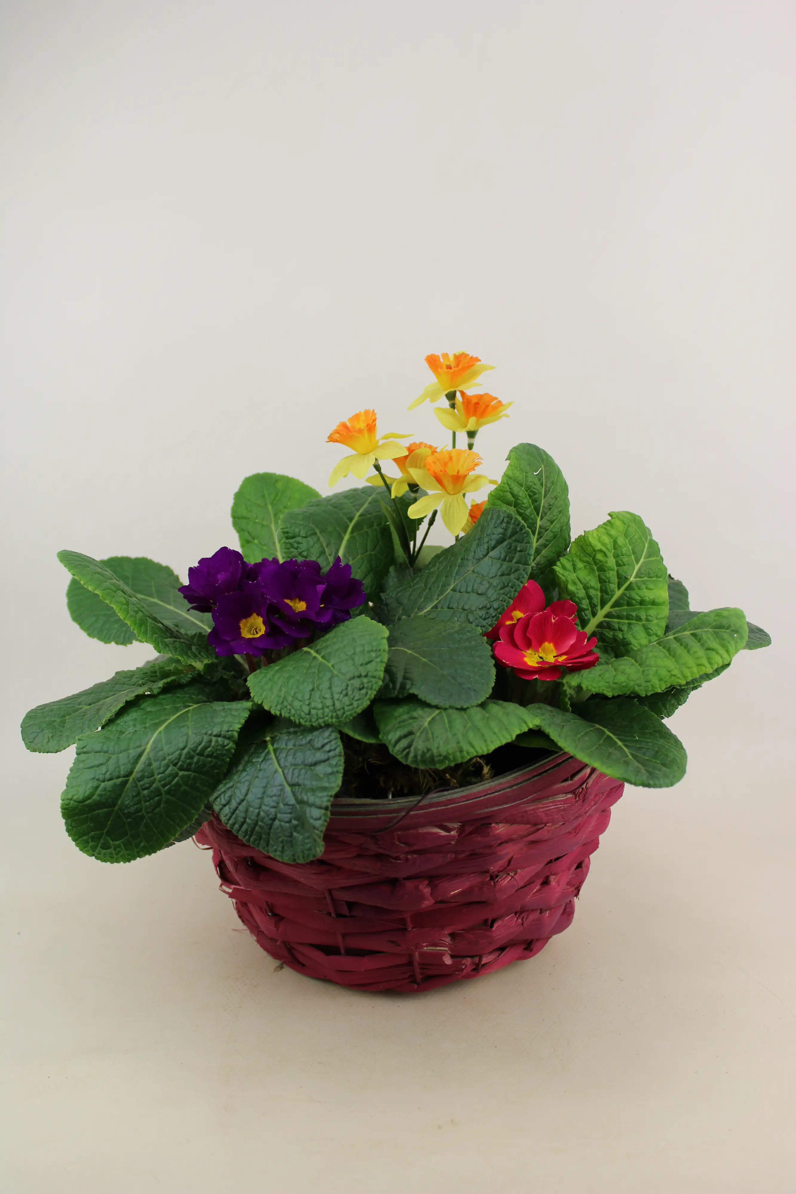 Arrangement Frühlingsschalen Mix 20 cm Topf