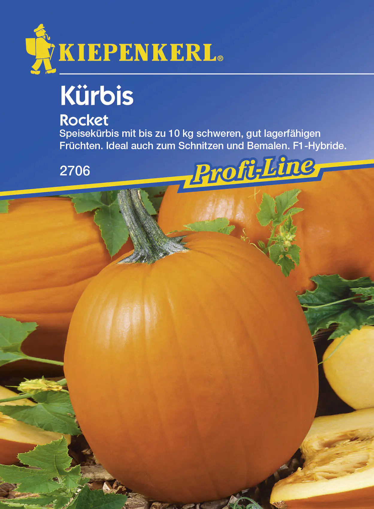 Kiepenkerl Kürbis Rocket Cucurbita pepo, Inhalt: 8 Korn