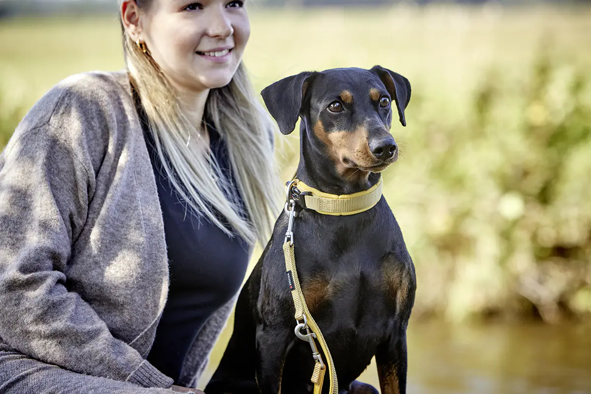 Wolters Hundehalsband Professional Comfort curry gelb