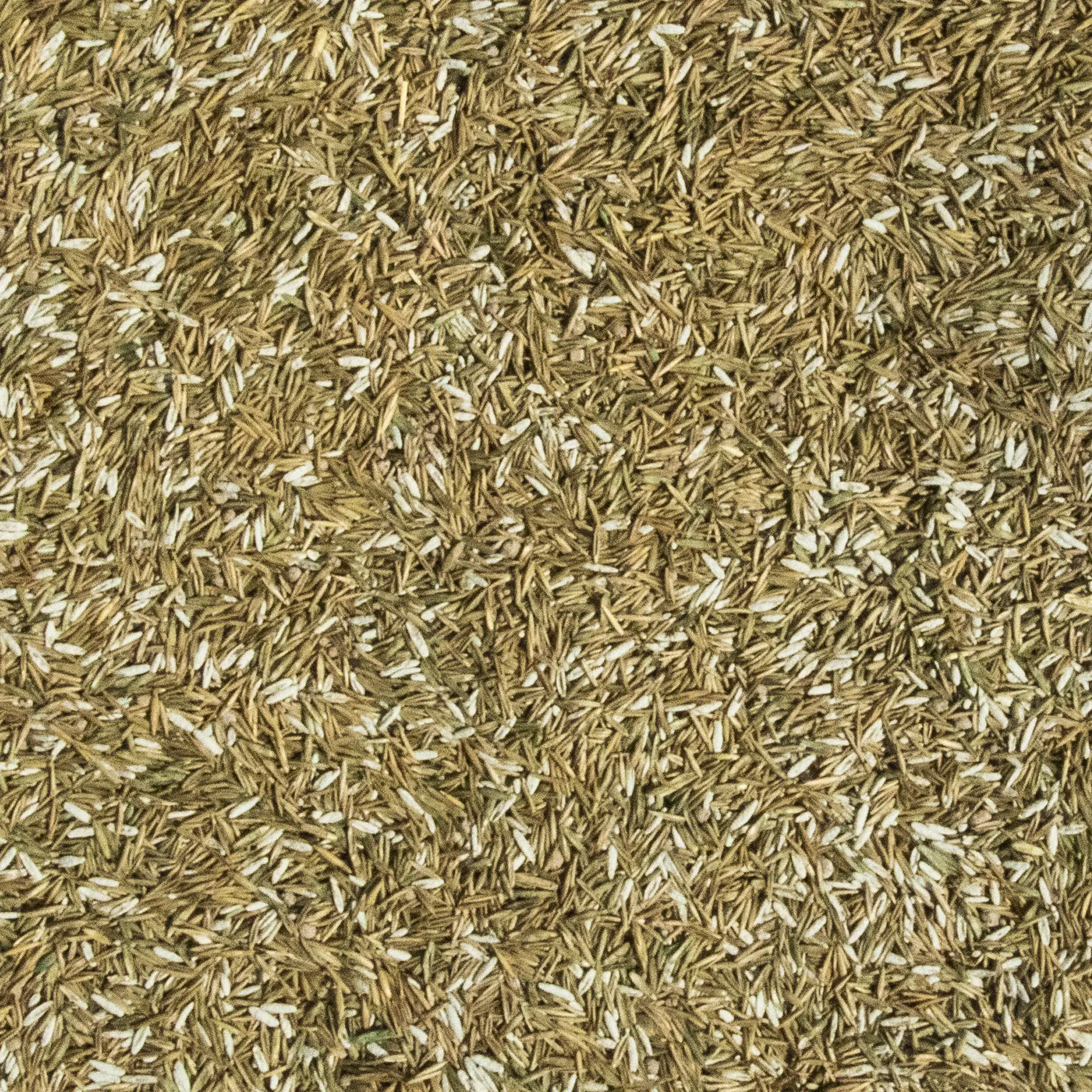 Westland Smart Green Neueinsaat für 100 m² 2,5 kg Westland Smart Green Neueinsaat für 100 m² 2,5 kg