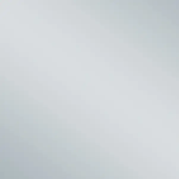 Alberts Glattblech Edelstahl 250 x 0,5 x 500 mm