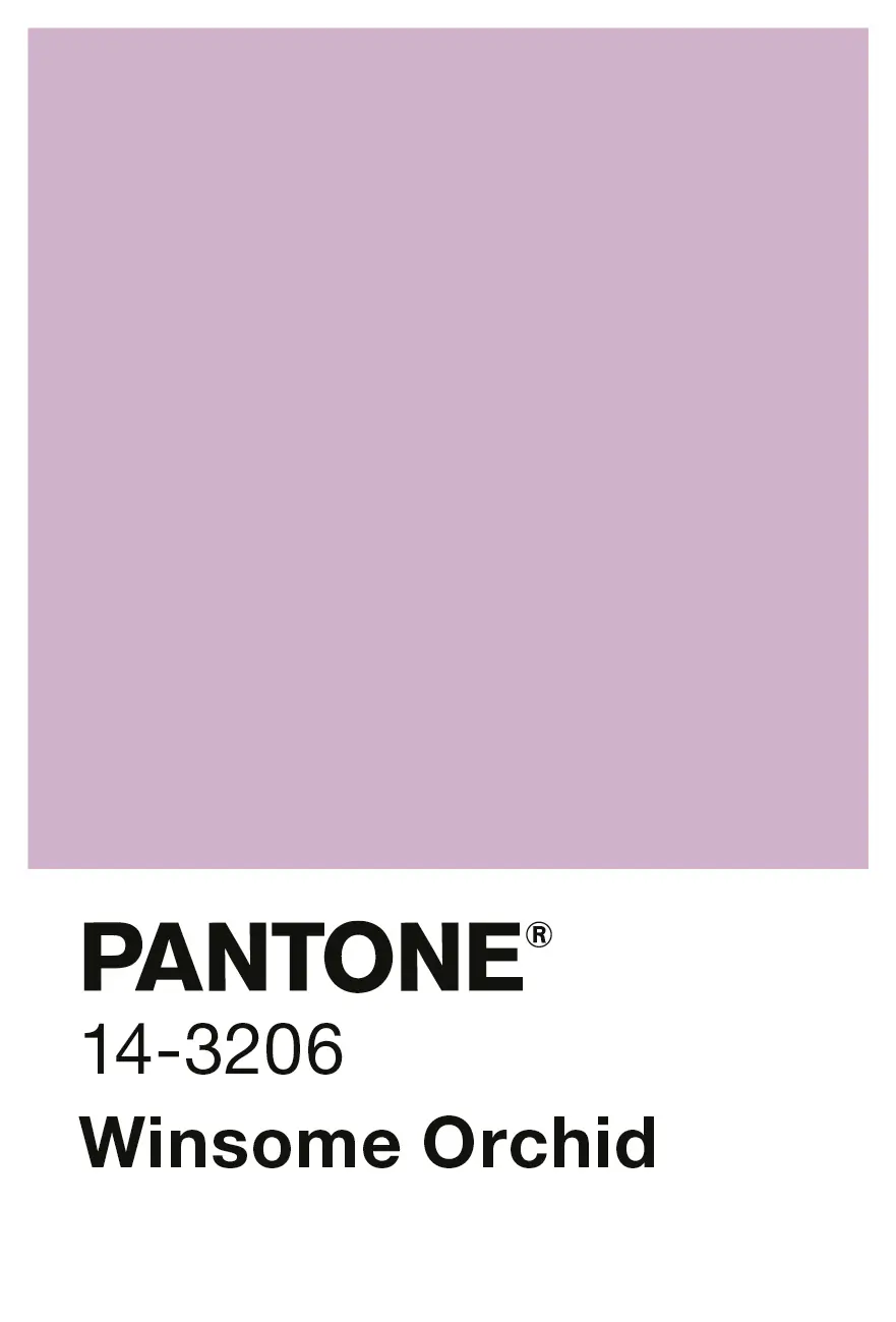 Alpina Wandfarbe Pantone matt winsome orchid 2,5 L