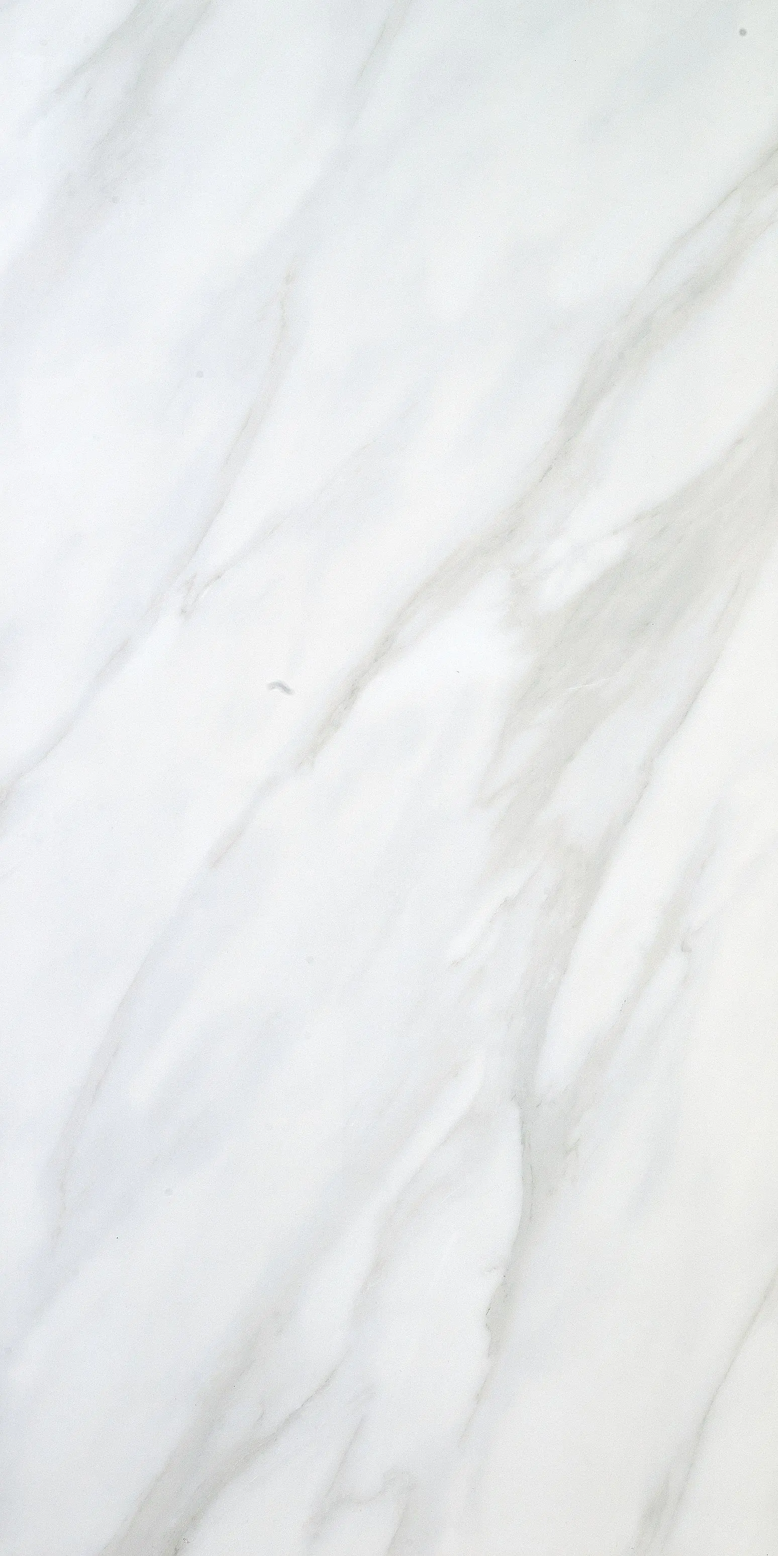 Eurostone Bodenfliese Feinsteinzeug Ceratec Calacatta glasiert glänzend 60 x 120 cm