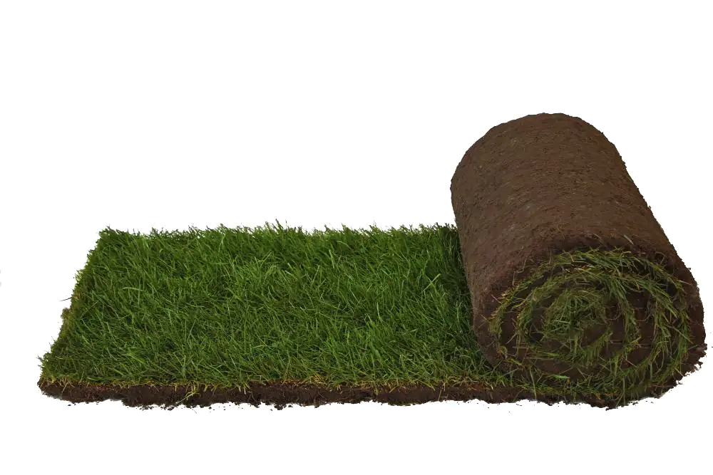 Premoplan Rollrasen Sport- und Spiel ab 30 m² Premoplan Rollrasen Sport- und Spiel ab 30 m²