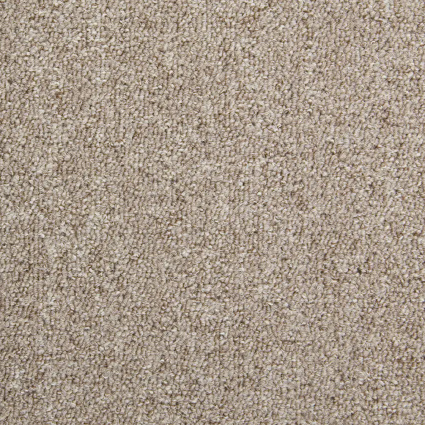 Teppichfliese Diva dunkelbeige, 50 x 50 cm Teppichfliese Diva dunkelbeige, 50 x 50 cm