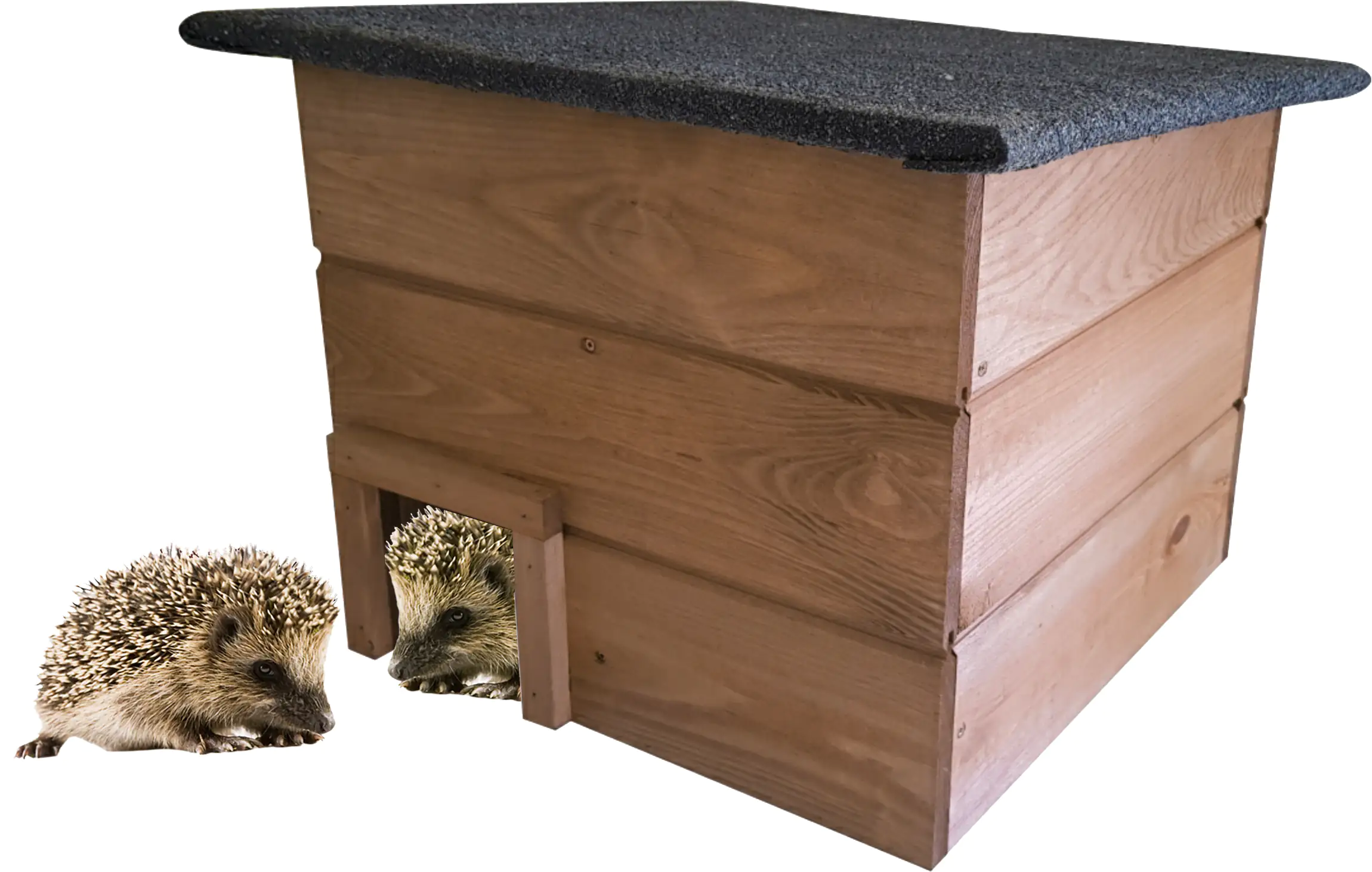 4251139108488_04 Igelhaus Kiefernholz 35 x 35 x 30,5/24,5 cm natur