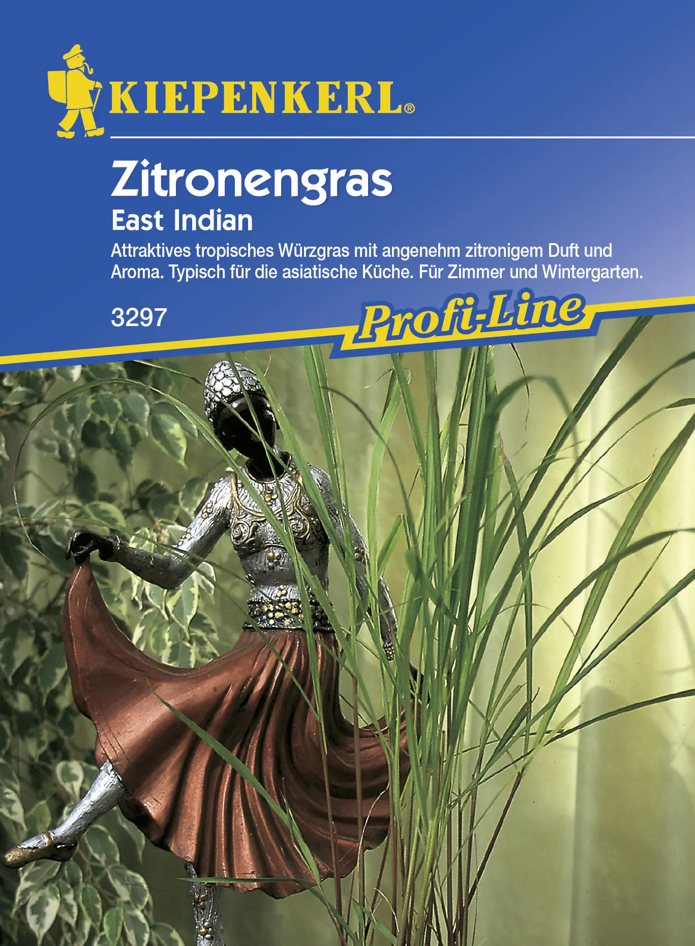 Kiepenkerl Zitronengras East Indian Cymbopogon citratus, Inhalt: ca. 50 Pflanzen