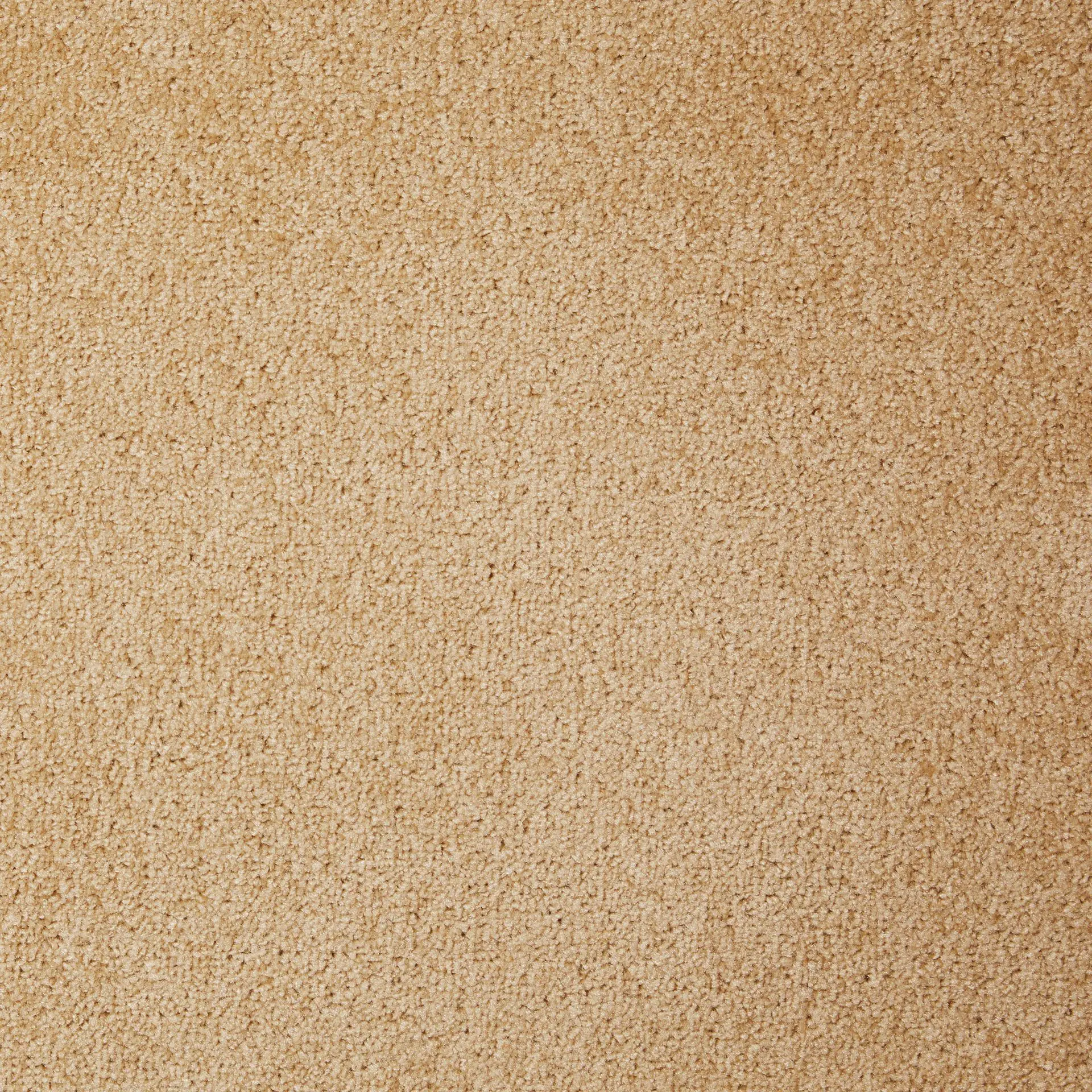 Teppichboden Lisa beige 4 m breit (Meterware)