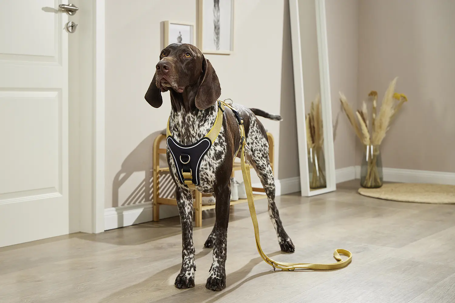 Wolters Hundeleine Professional Comfort curry gelb