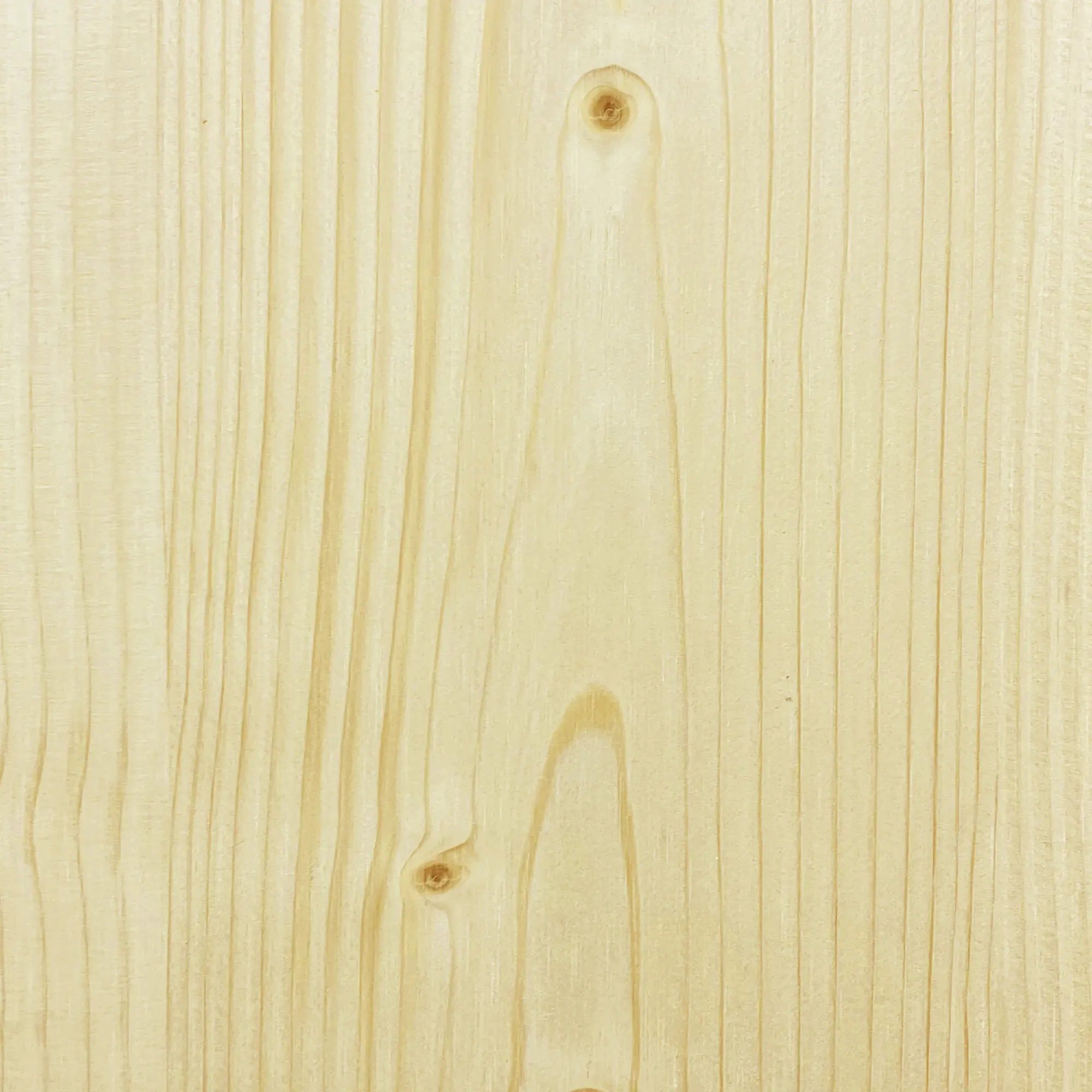 FN Neuhofer Flachleiste 100 cm 120 x 13 mm Fichte/Kiefer