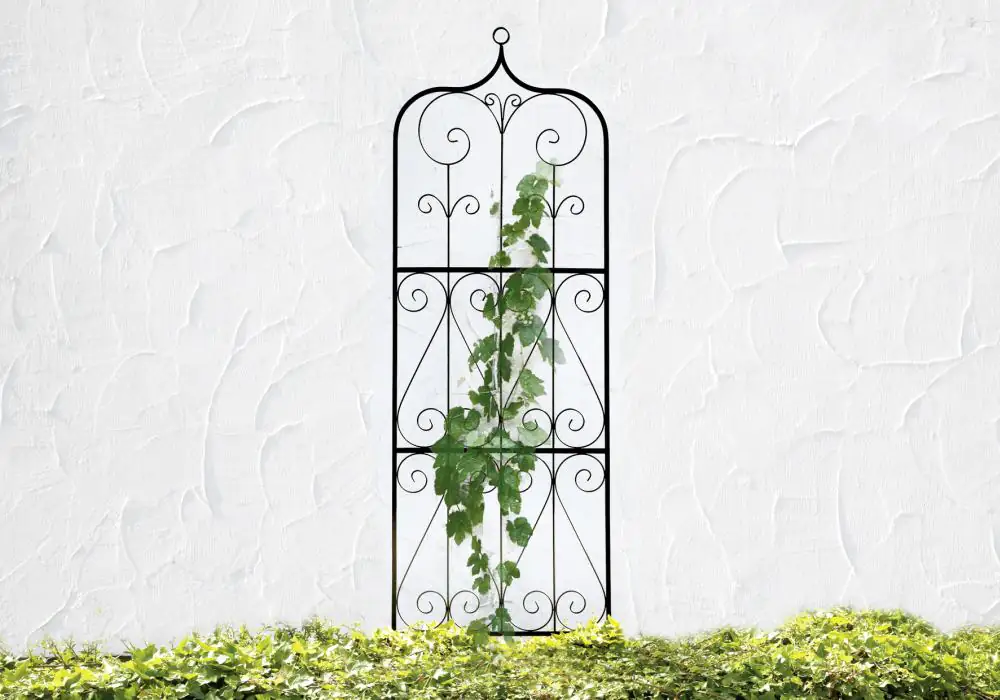 Floraworld Ornament Spalier Comfort 60x198cm 60 x 198 cm