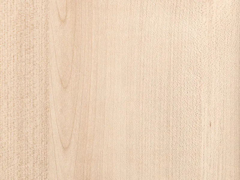 B.S. Bauprogramm Paneele Systema 260 x 16 cm, 12 mm, Birke geplankt B.S. Bauprogramm Paneele Systema 260 x 16 cm, 12 mm, Birke geplankt