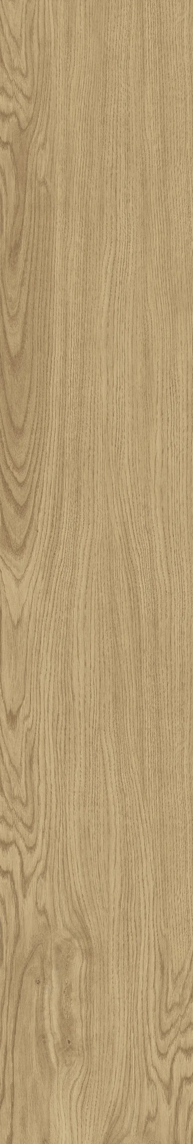 Eurostone Bodenfliese Feinsteinzeug Timber 20 x 120 cm hellbraun Eurostone Bodenfliese Feinsteinzeug Timber 20 x 120 cm hellbraun