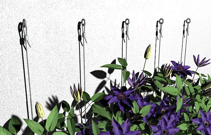 Fischer Ösenschraube GS 8 x 80 mm - 2 Stück