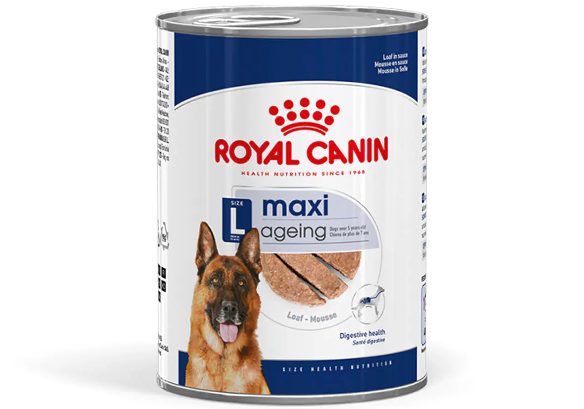 Royal Canin Hundenassfutter Senior 410 g Maxi Ageing Mousse 