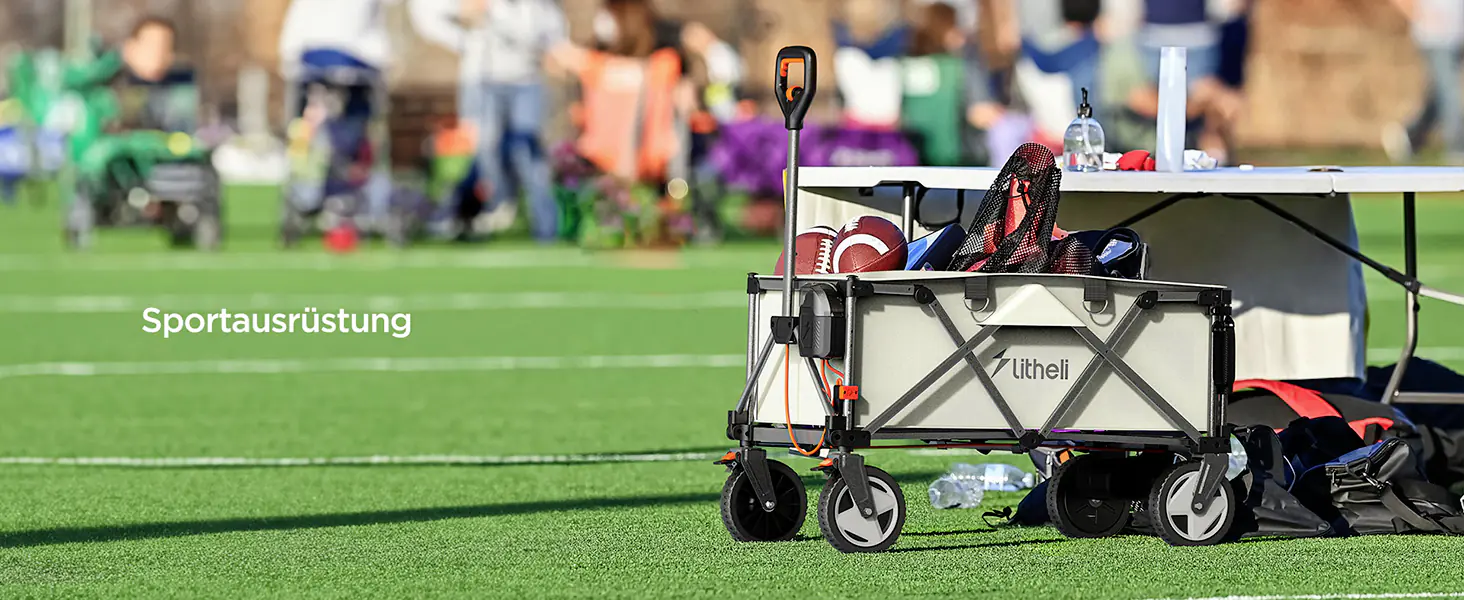Litheli Bollerwagen 450 W W1 Pro, inkl. Akku 4.0 Ah