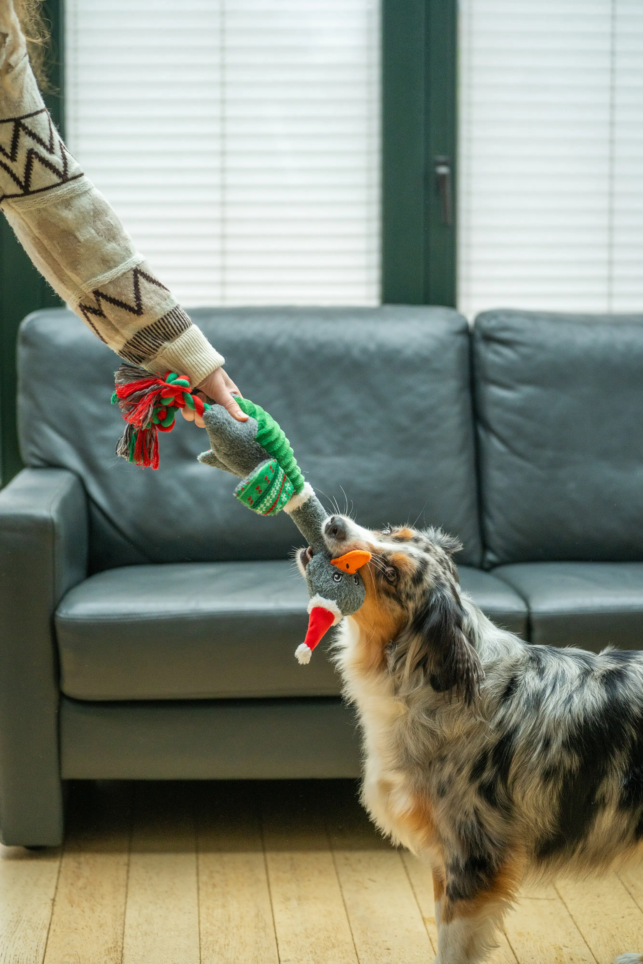 Nobby Hundespielzeug Xmas Gans 42 cm