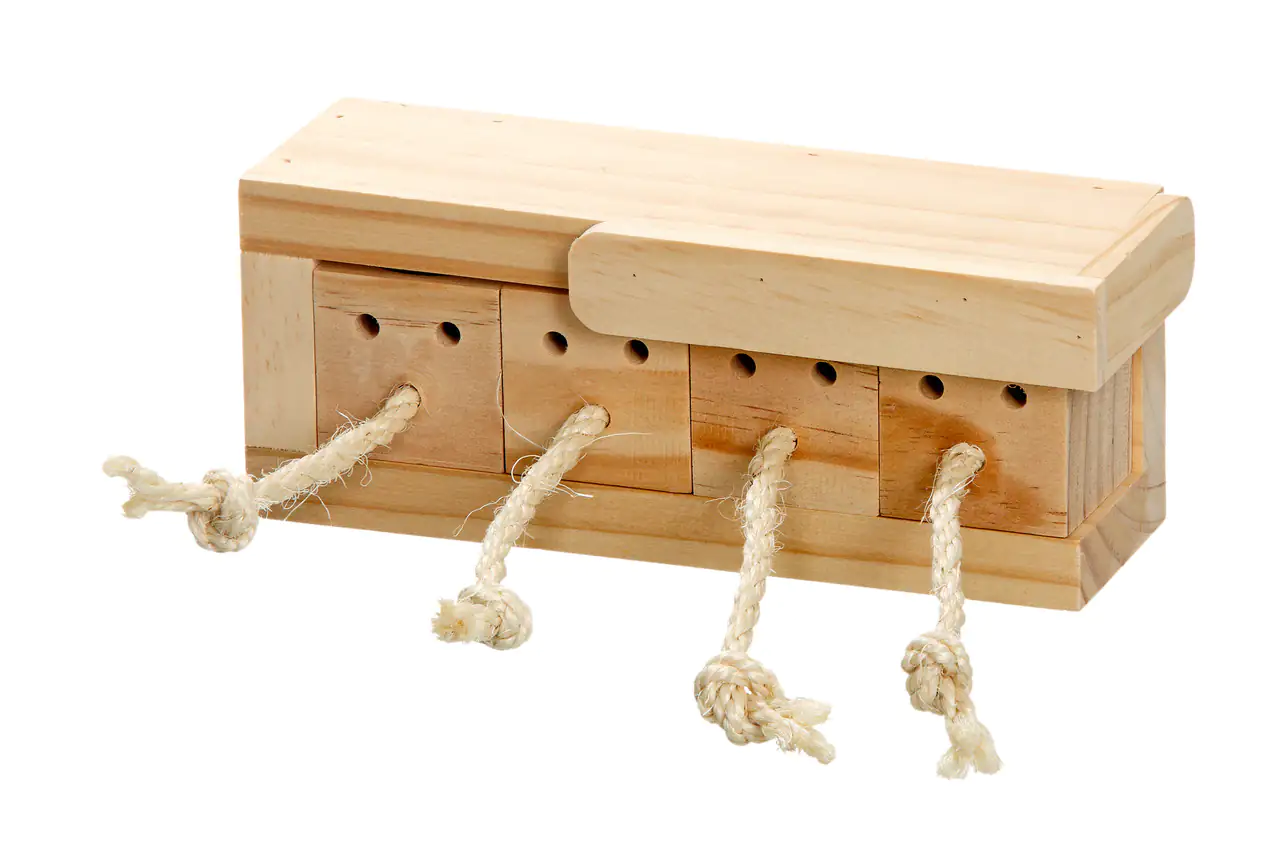 Intelligenzspielzeug Kastenmit 4 Klötzen für Kaninchen beige