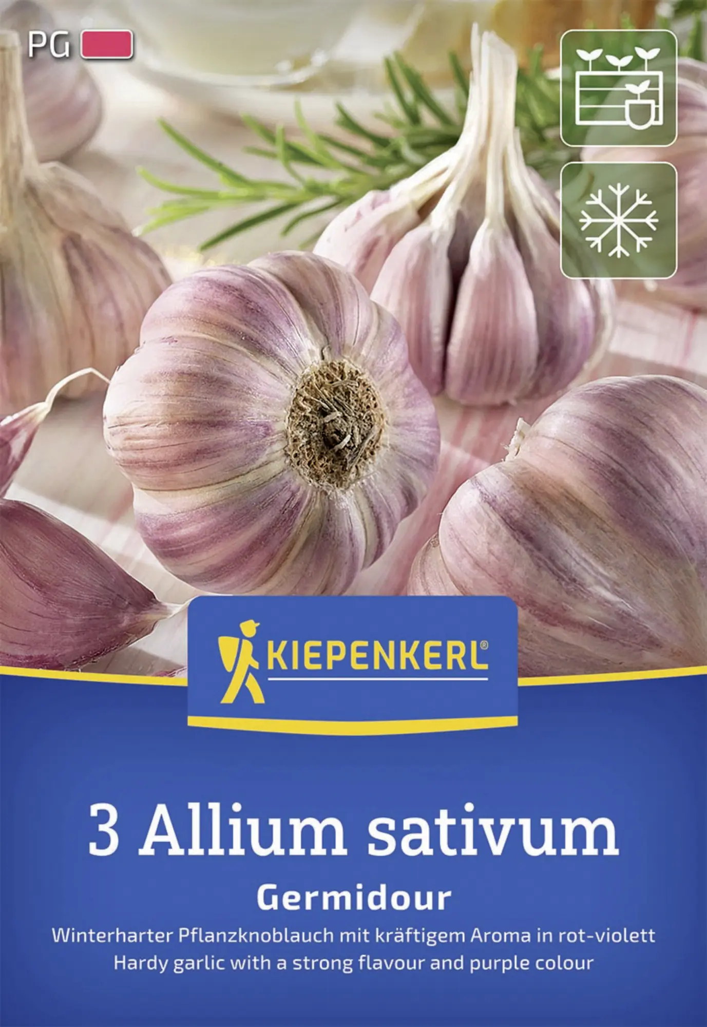 Kiepenkerl Pflanzgut Winterknoblauch Germidour 3 Stück