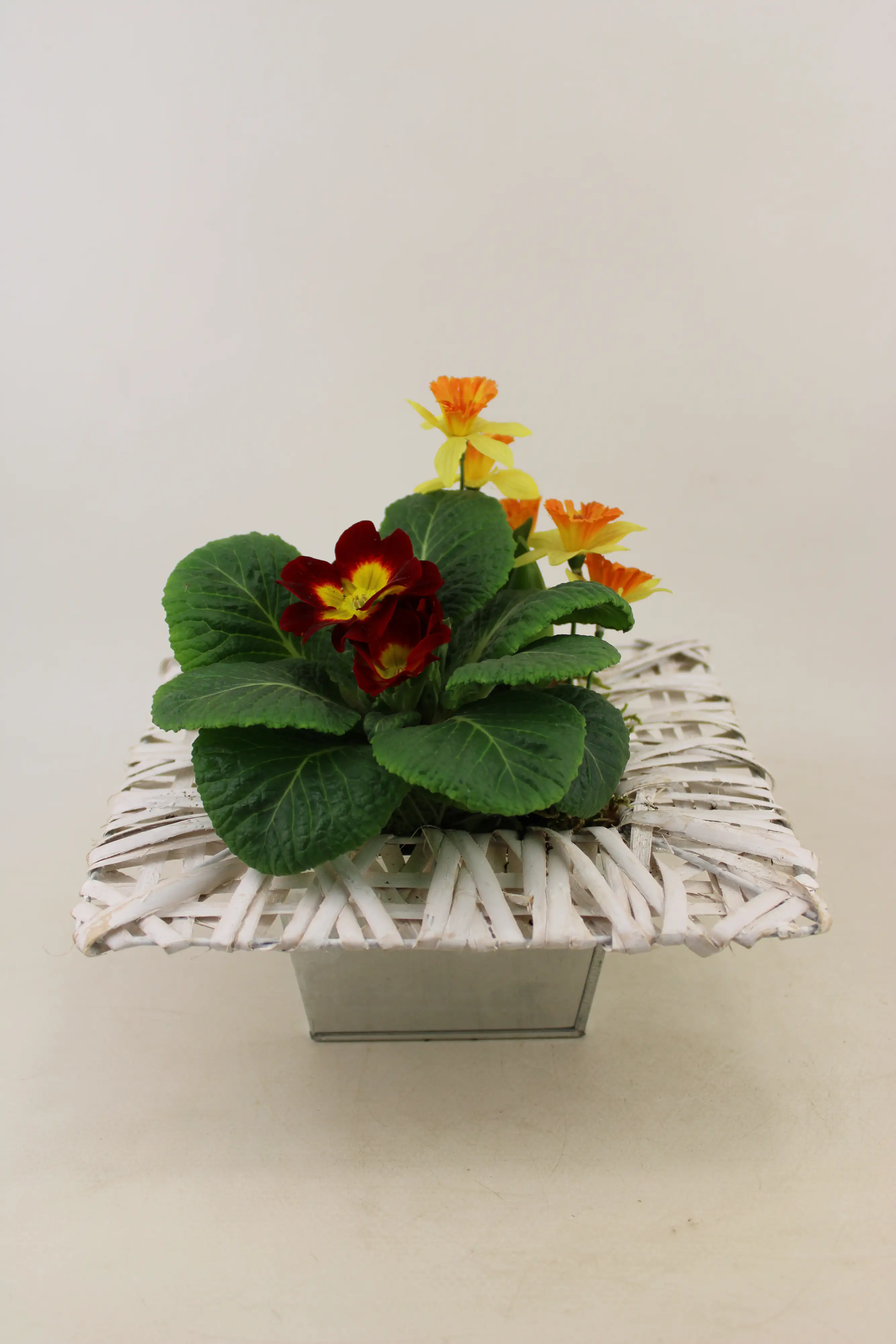 Arrangement Frühlingsschalen Mix 20 cm Topf