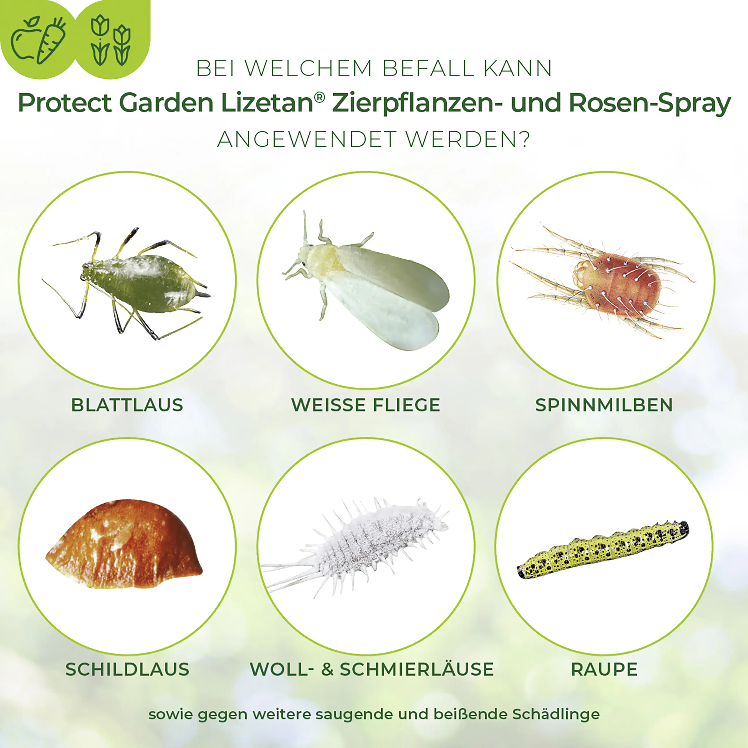 Protect Garden Lizetan Zierpflanzen- & Rosen-Spray AF 750 ml