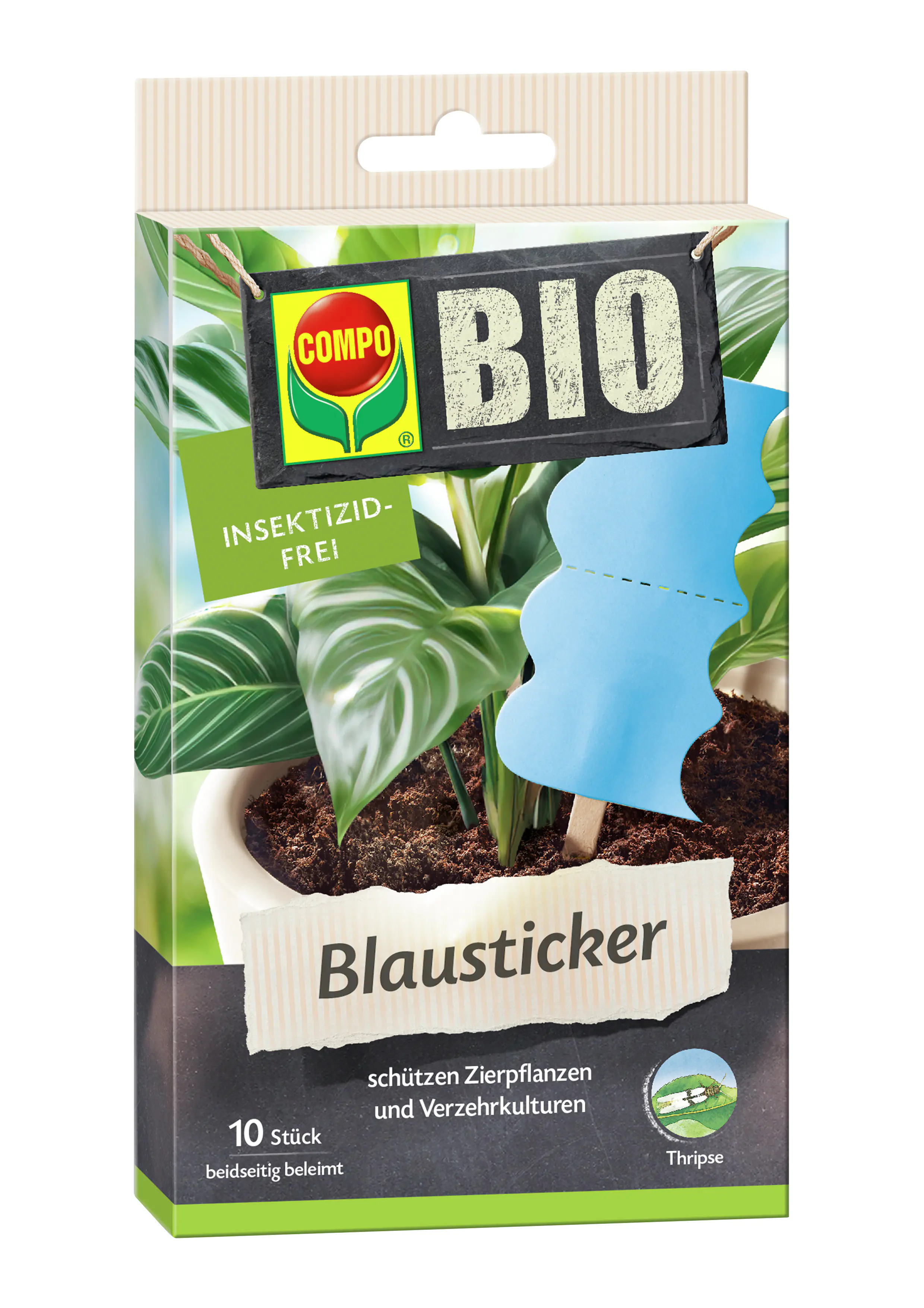 Compo Bio Blausticker gegen Thripse 10 Stück