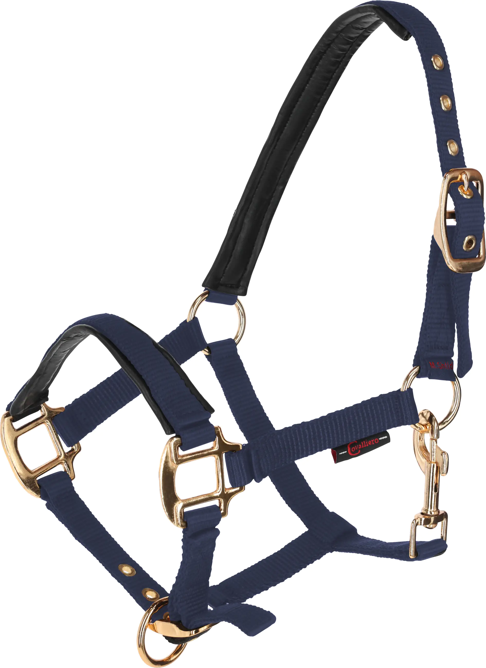 Kerbl Covalliero Fohlenhalfter TopLine navy