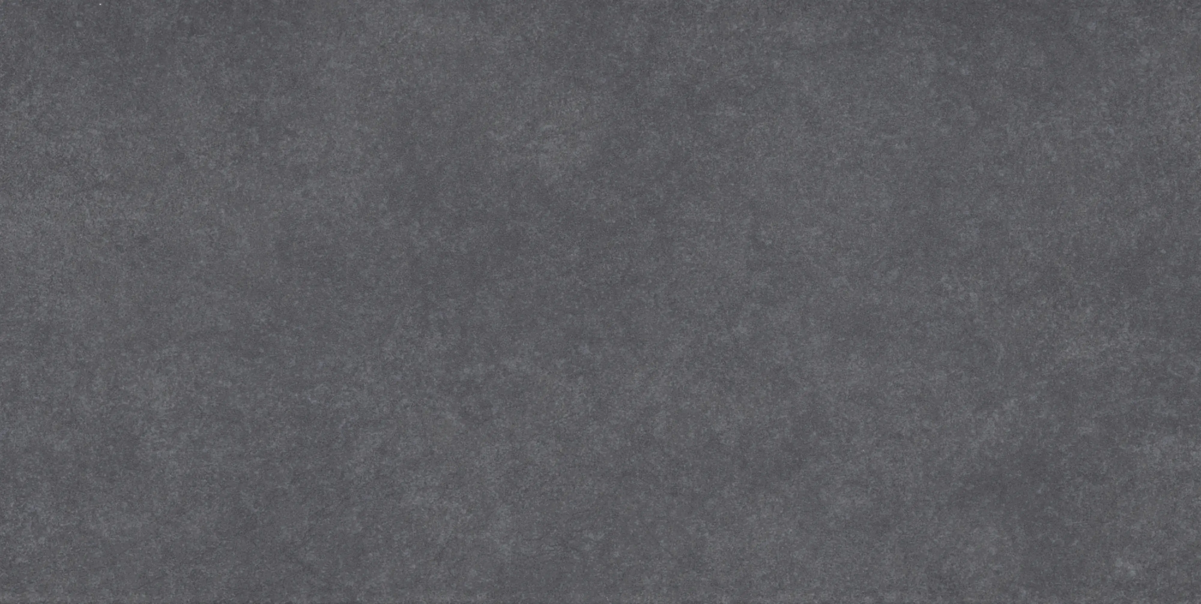 Bodenfliese Feinsteinzeug Absolute 31 x 62 cm anthrazit Bodenfliese Feinsteinzeug Absolute 31 x 62 cm anthrazit