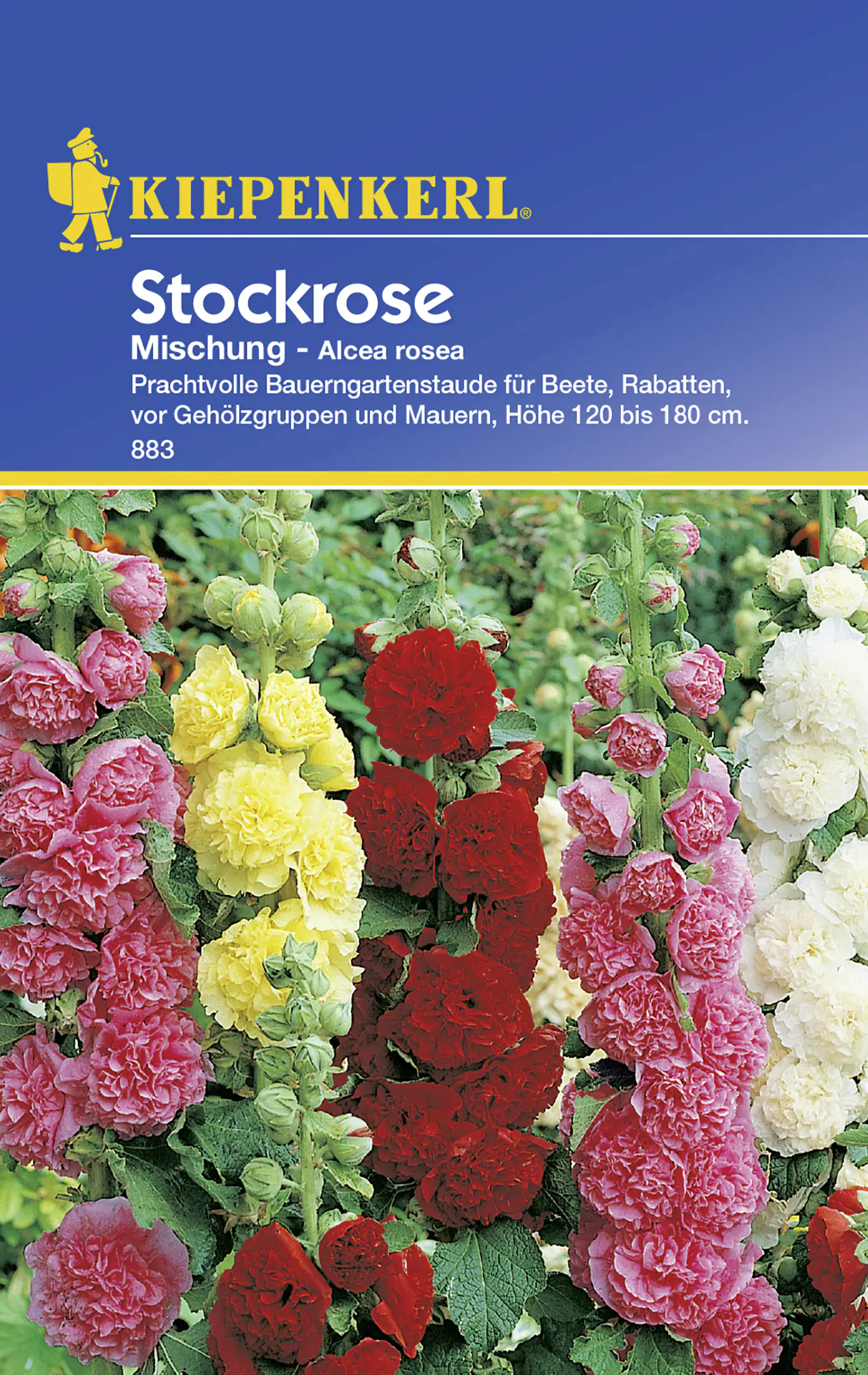 Kiepenkerl Stockrose Mischung Alcea rosea, Inhalt: ca. 30 Pflanzen
