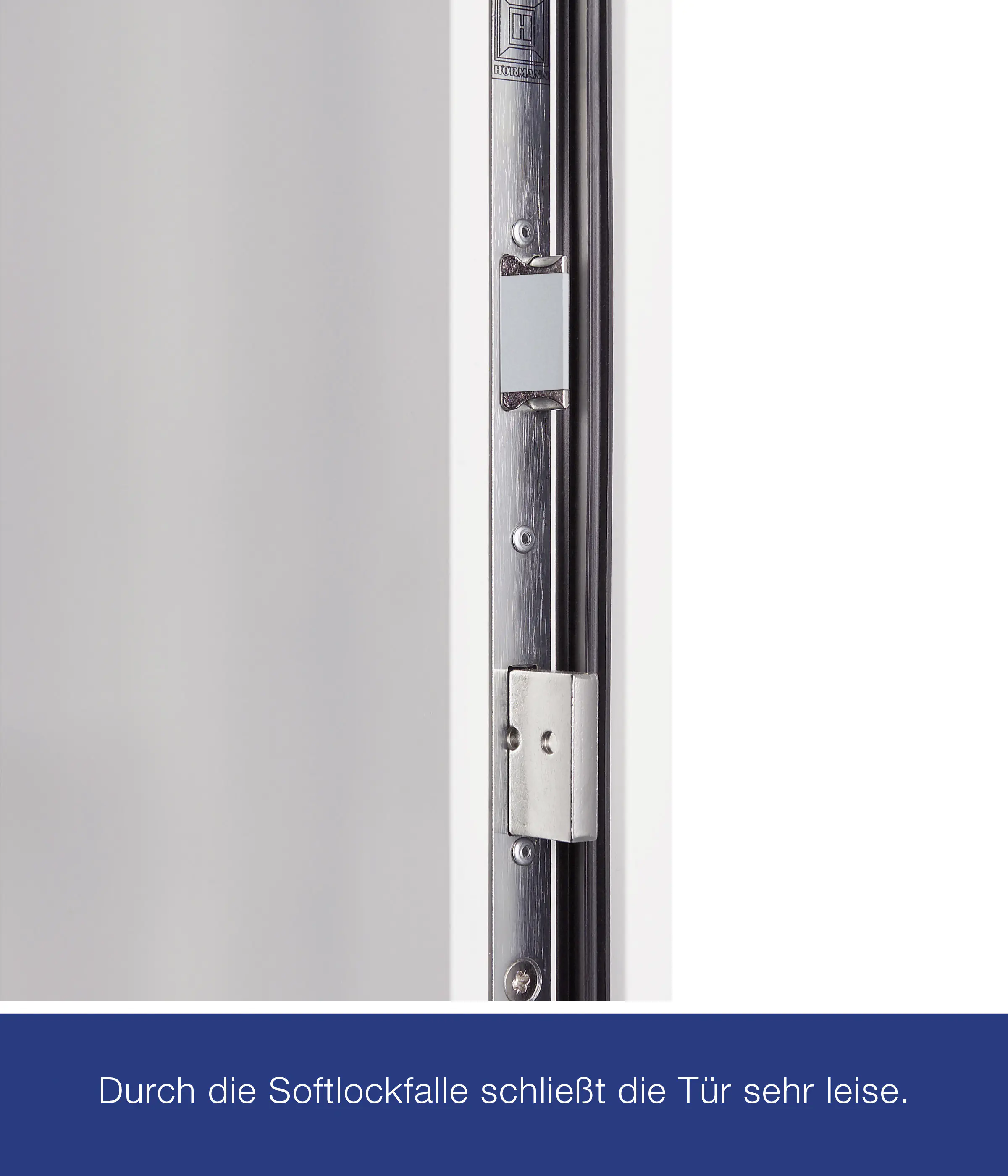 Hörmann Haustür Thermo65 Motiv 610S anthrazitgrau Rechts 110 x 210 cm