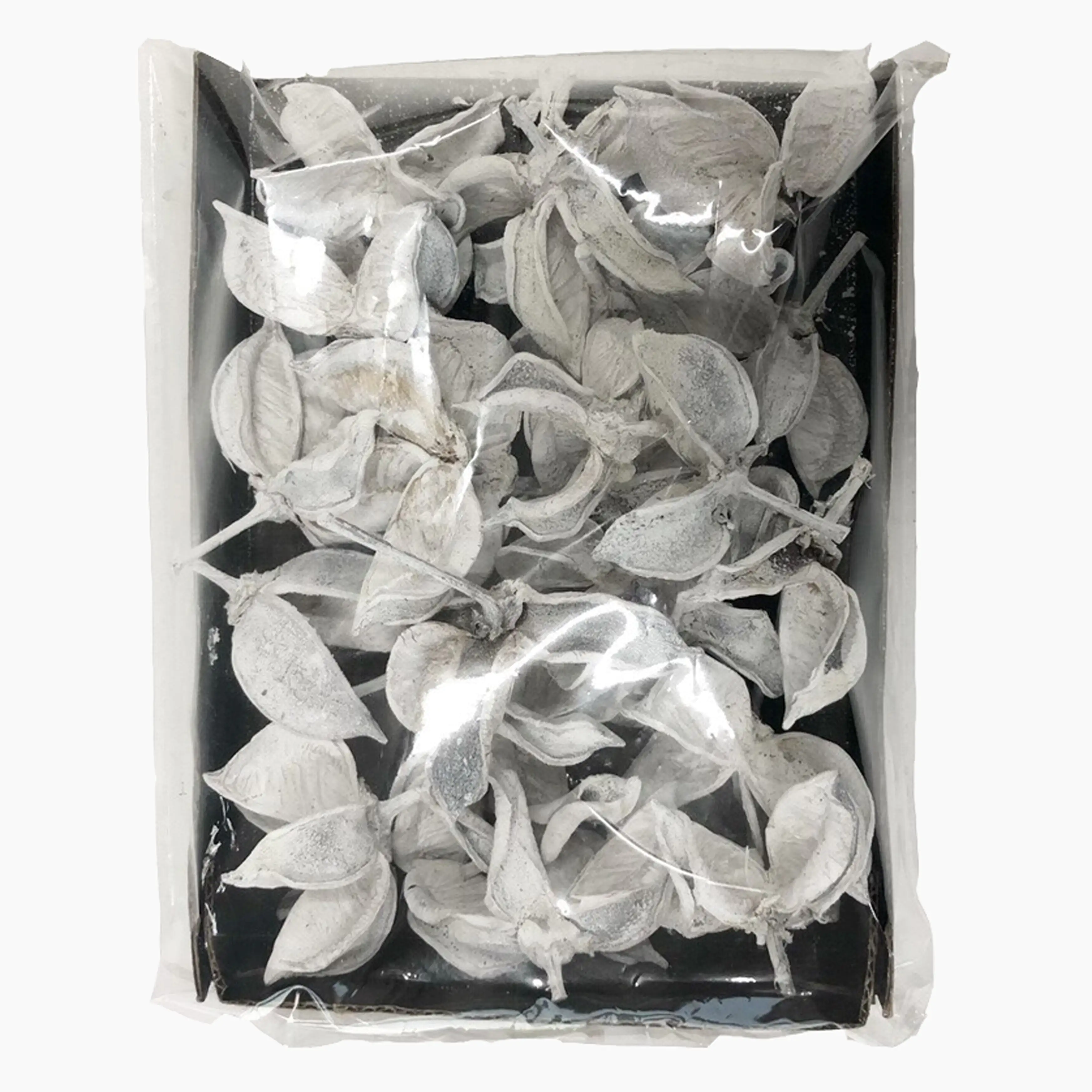 Star Home Decor Baumwollköpfe weißDekomix 20 x 15 x 4,5 cm