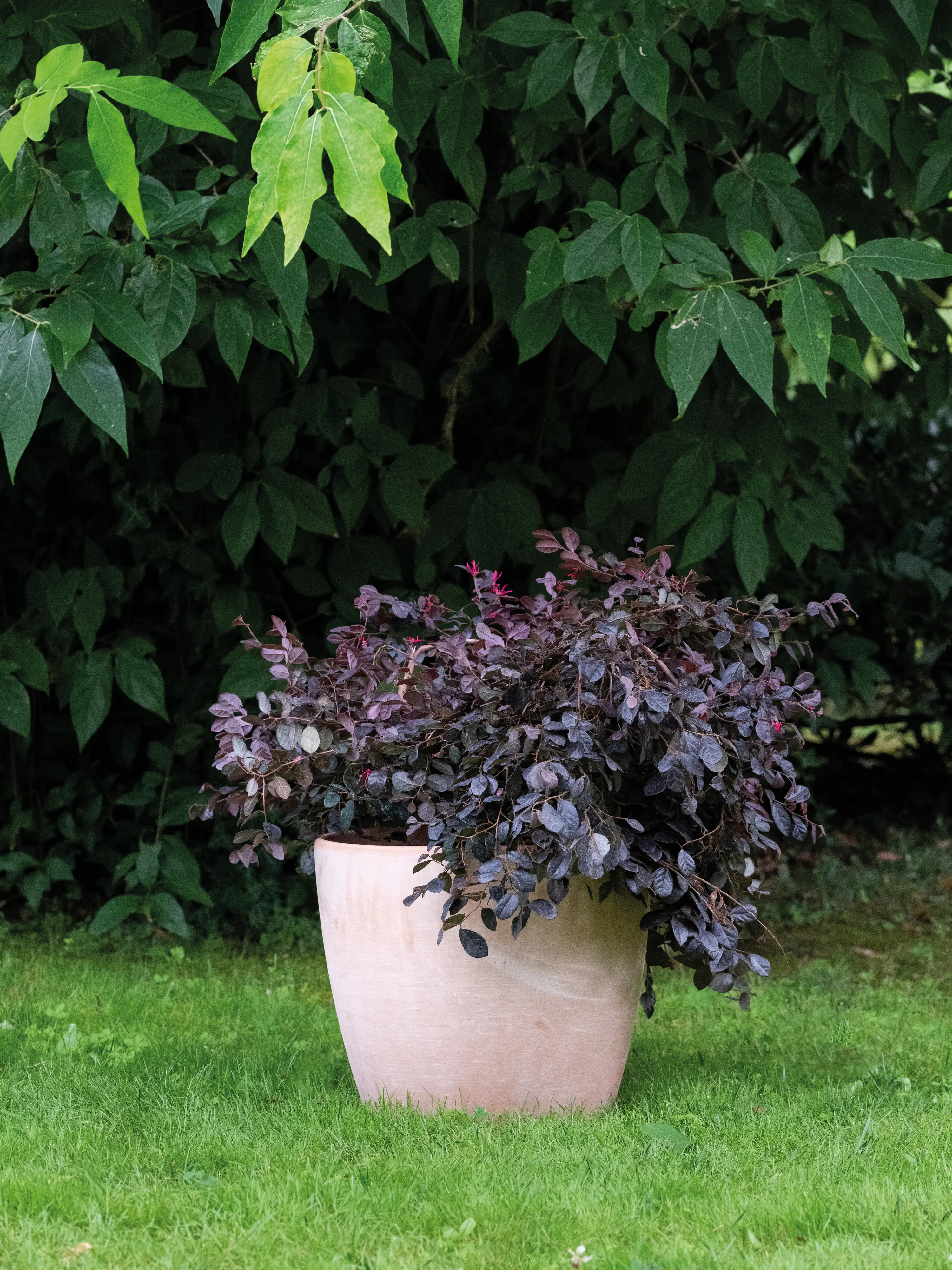 Deroma Pflanztopf Egg Pot White Garden Terrakotta Ø 25 x 22 cm