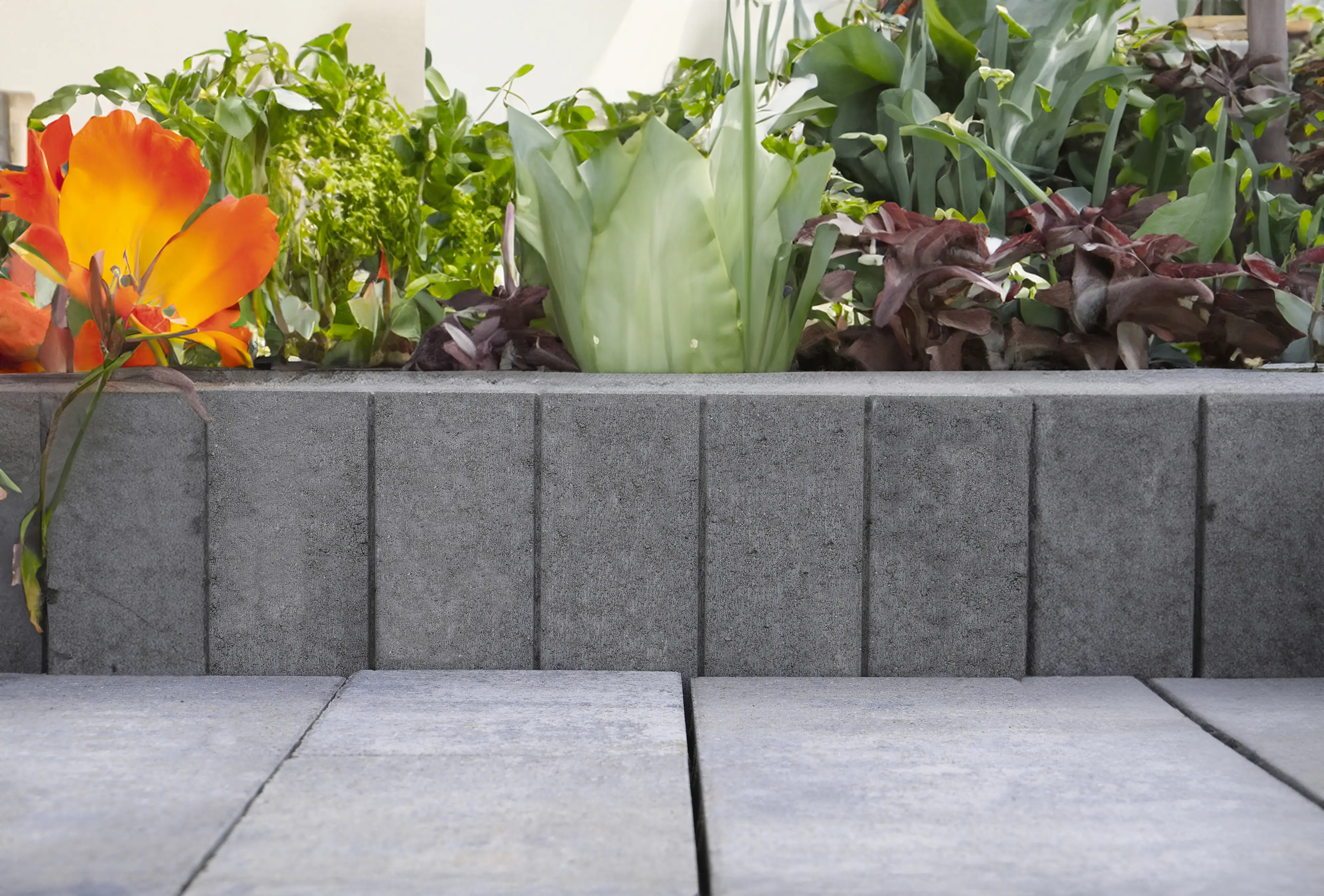 EHL Palisade Palibord Lima Rechteck 50 x 25 x 6 cm grau