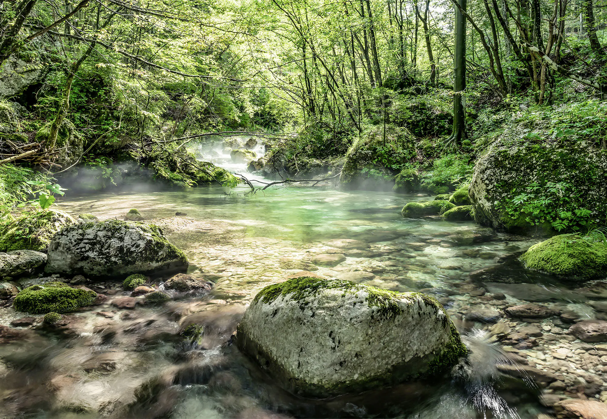 Komar Fototapete Riverbed 368 x 254 cm 