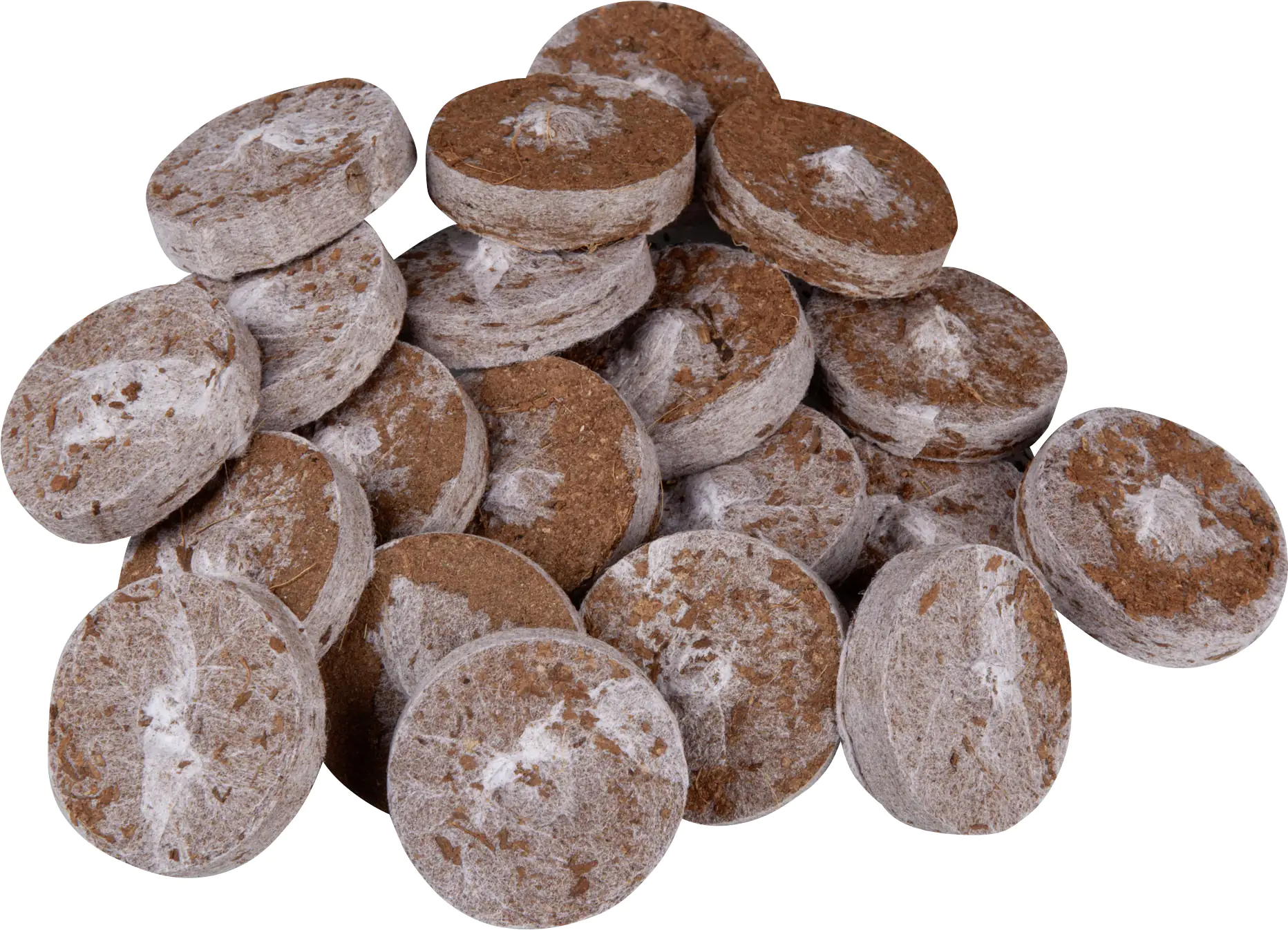 Windhager Kokosquelltabs 3,5 cm, 50 Stück Windhager Kokosquelltabs 3,5 cm, 50 Stück