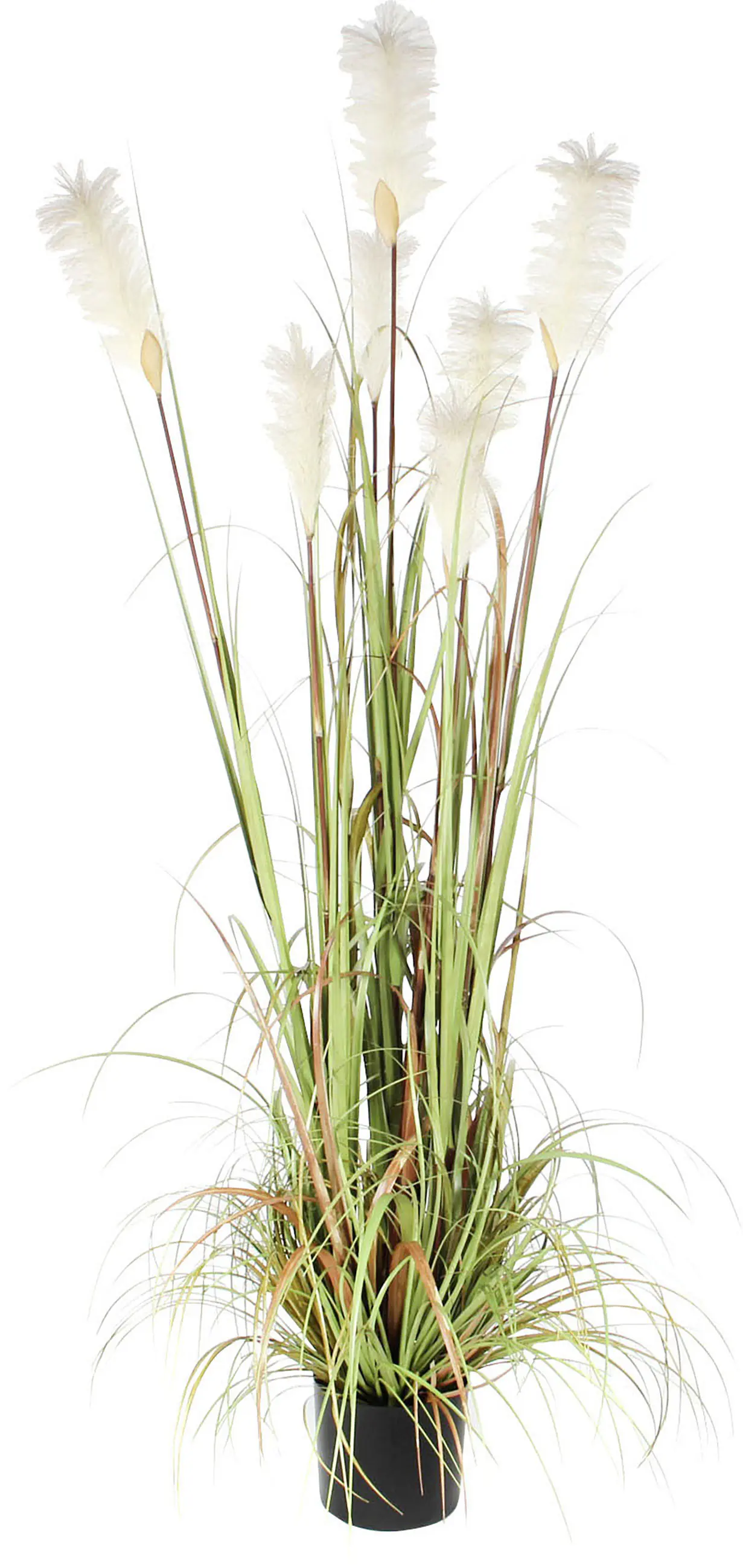 Mica Kunstpflanze Federgras Foxtail im Topf grün, 180 x 80 cm