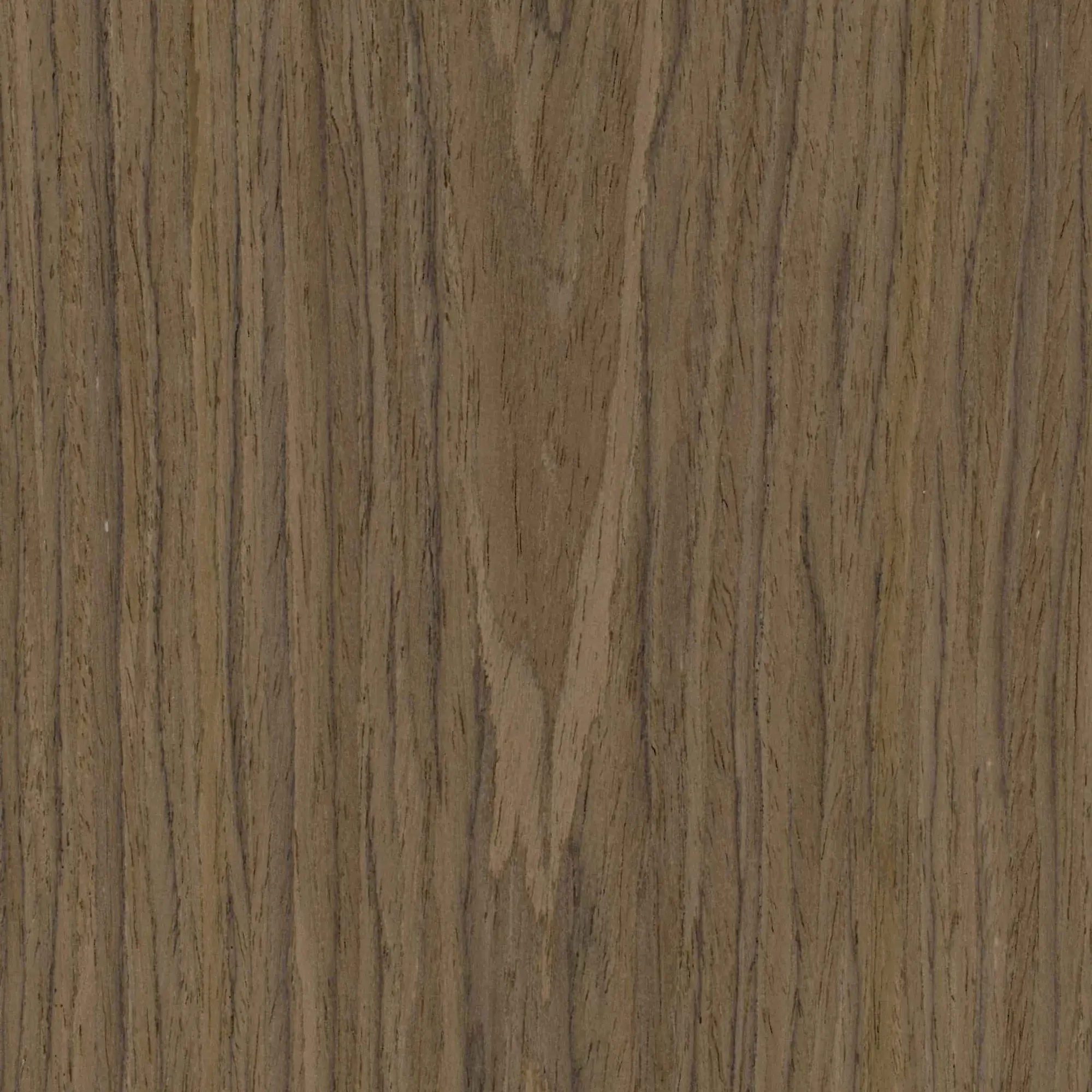 Neuhofer Akustikpaneele Holz furniert dunkelbraun 267 x 1,9 x 57 cm