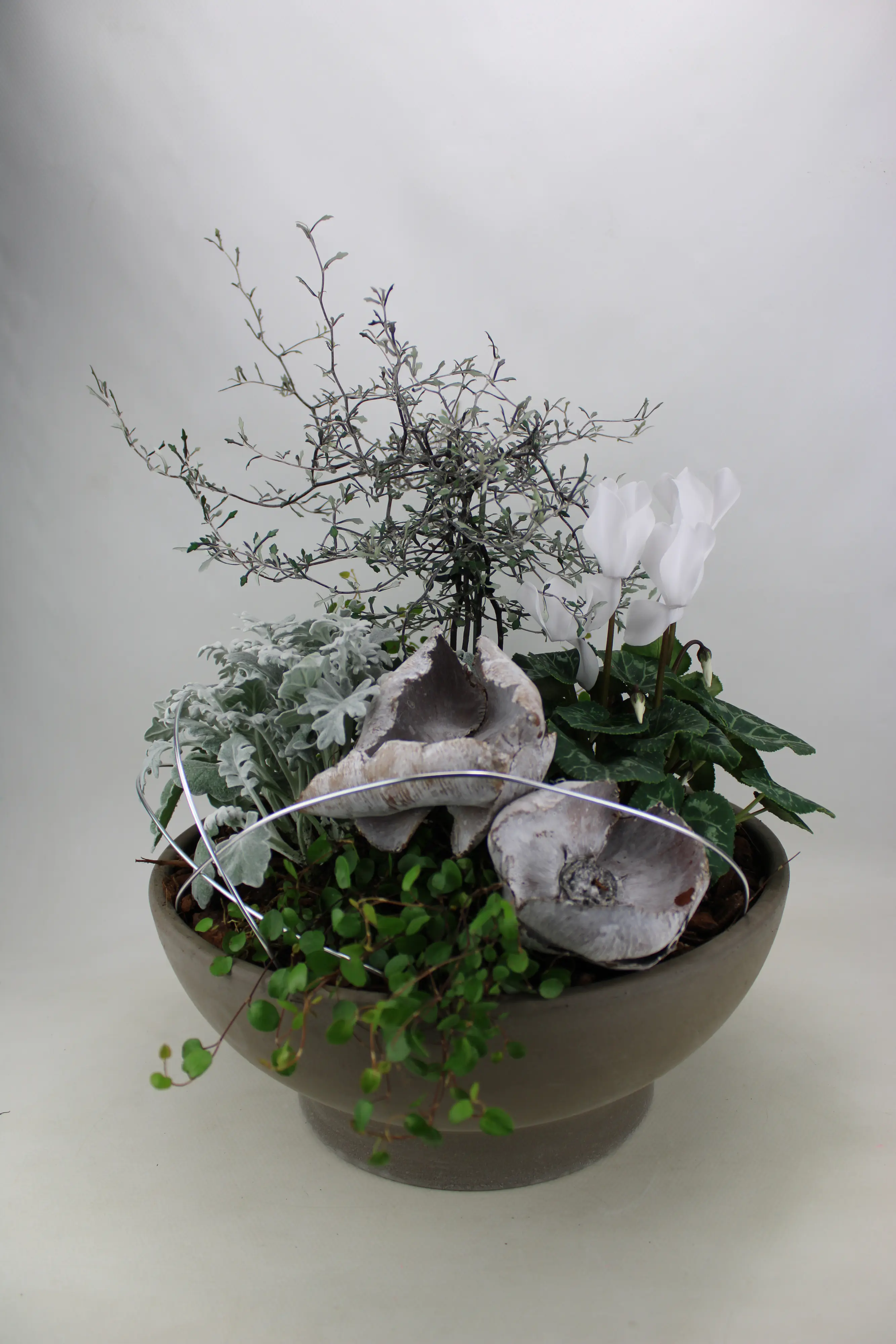 Arrangement Outdoor Nr. 48 Tonschale