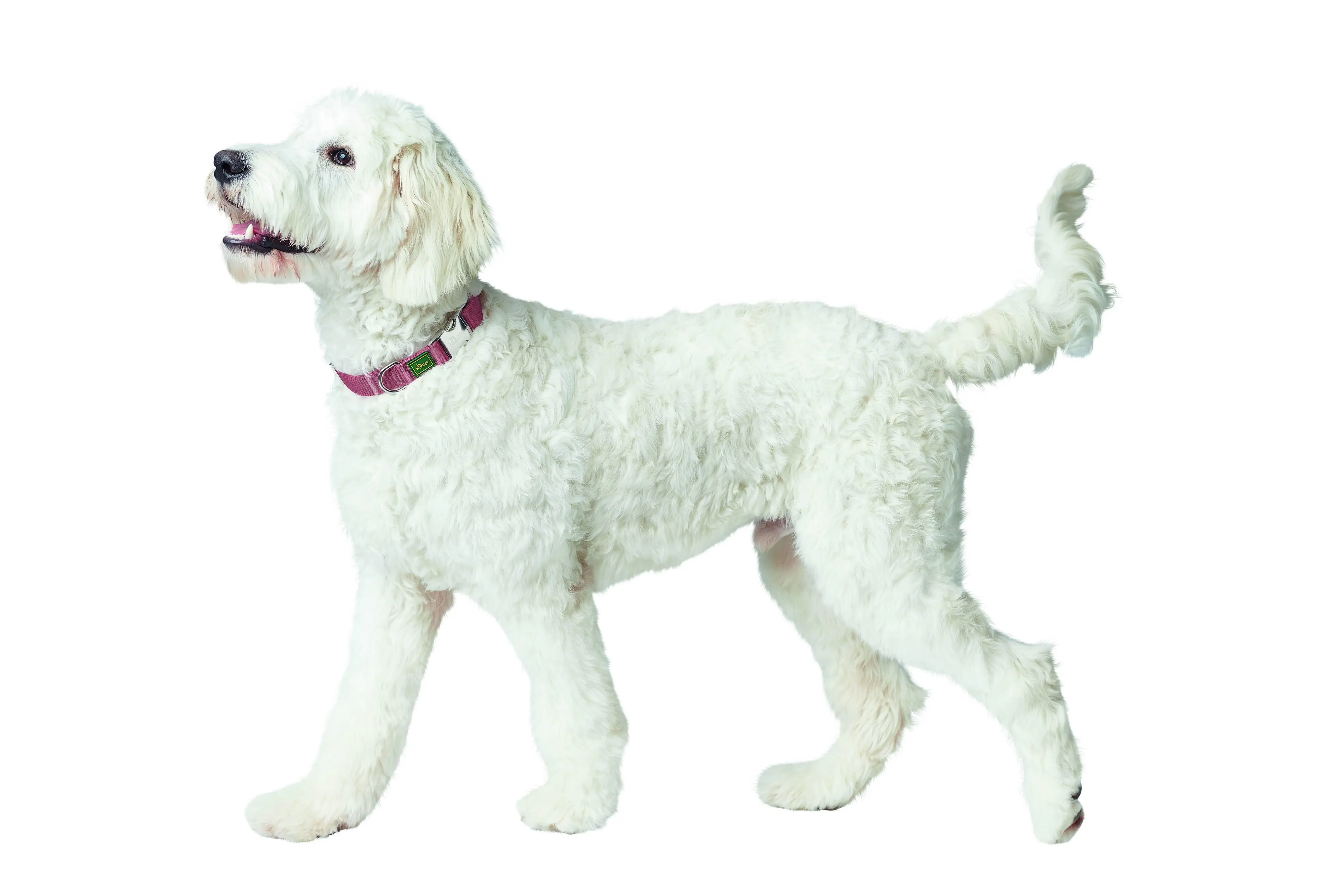 Hunter Hundehalsband Inari Alu-Strong M pastellrot