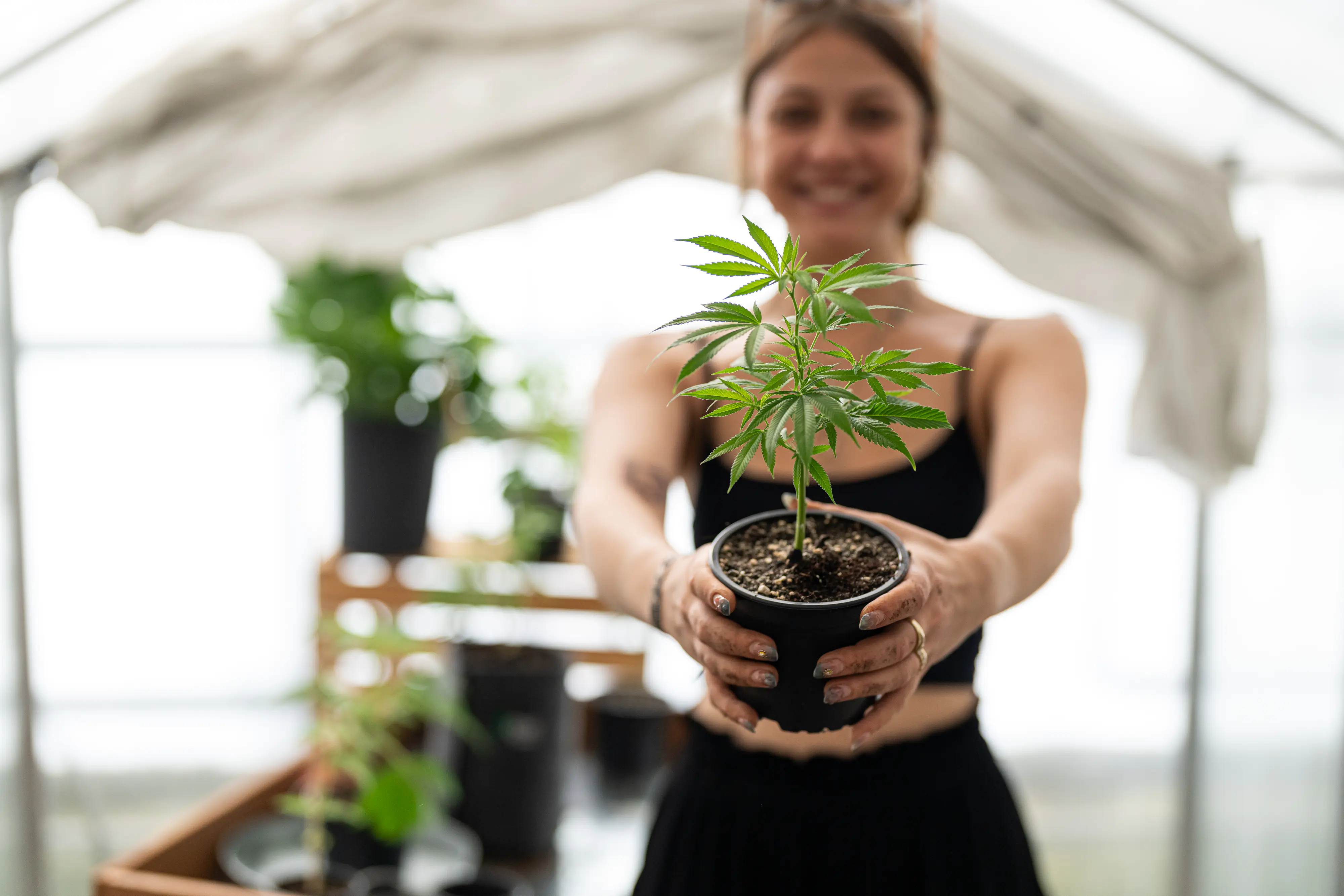 Herbi's Living Soil Grow Booster Biologisch aktiver Naturdünger 1 kg