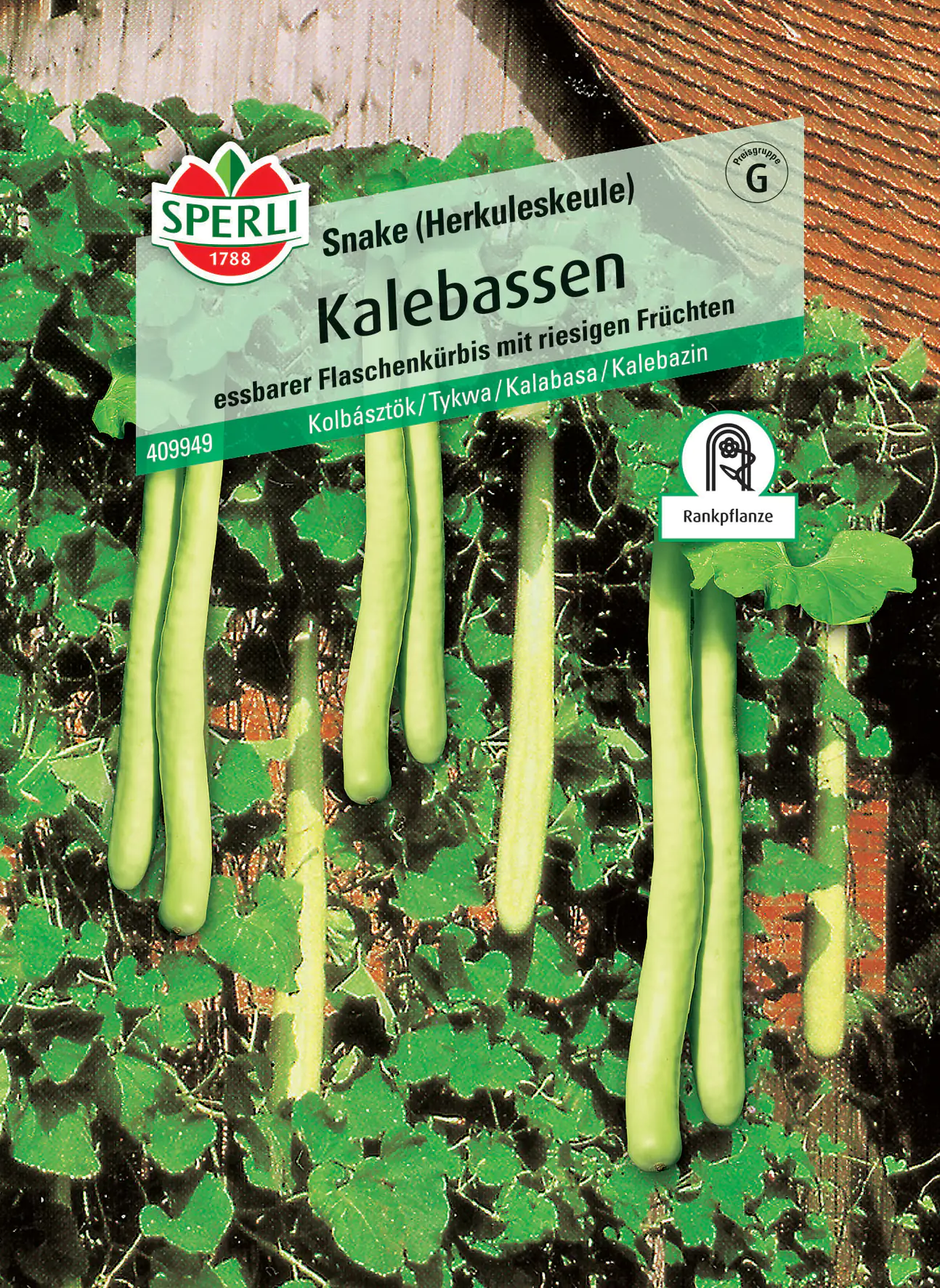 Sperli Kalebassen Snake (Herkuleskeule)