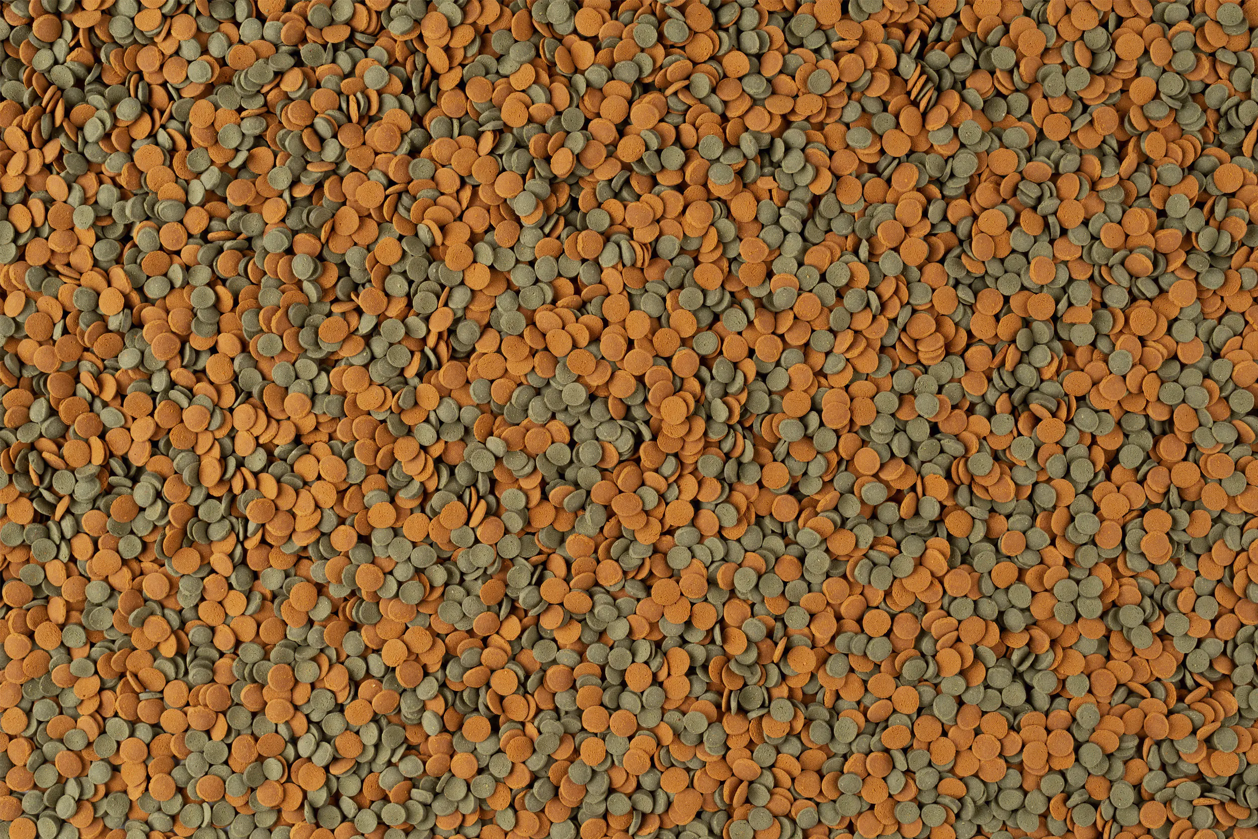 Tetra Zierfischfutter Wafer Mix 250 ml Tetra Zierfischfutter Wafer Mix 250 ml