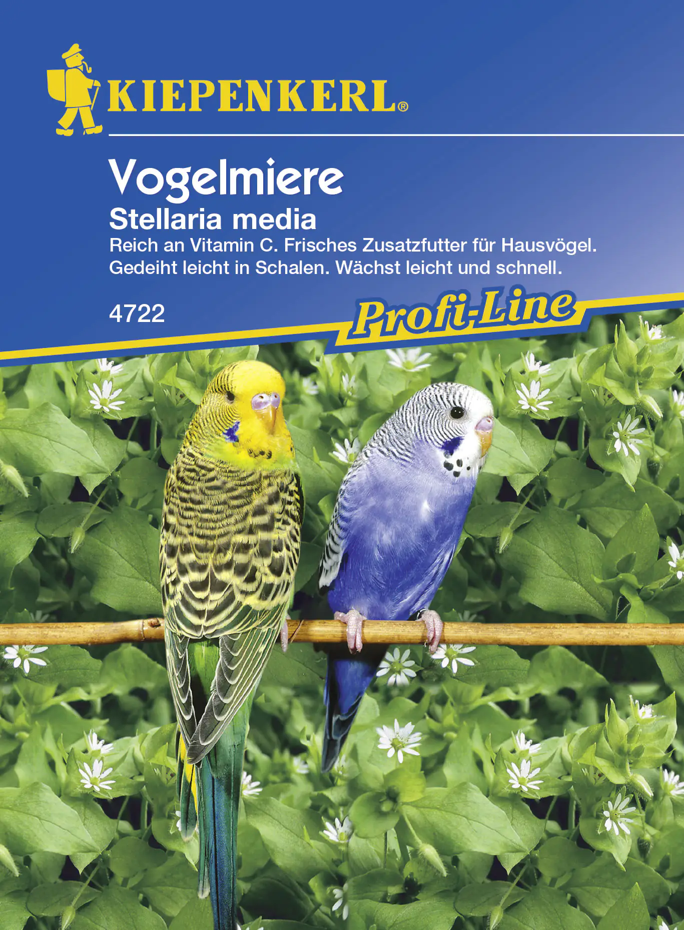 Kiepenkerl Vogelmiere ca. 1 m²