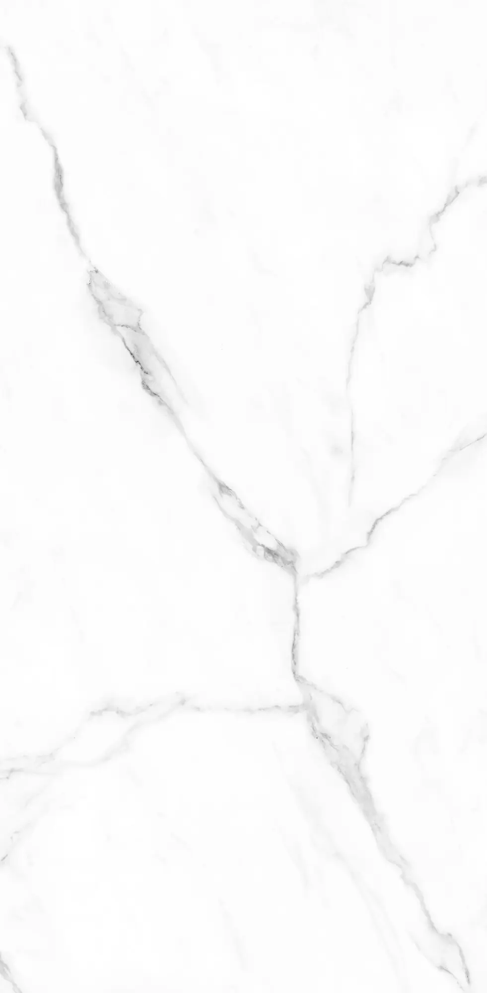 Schulte Duschrückwand Softtouch Stein Marmor-Bianco 125 x 255 cm