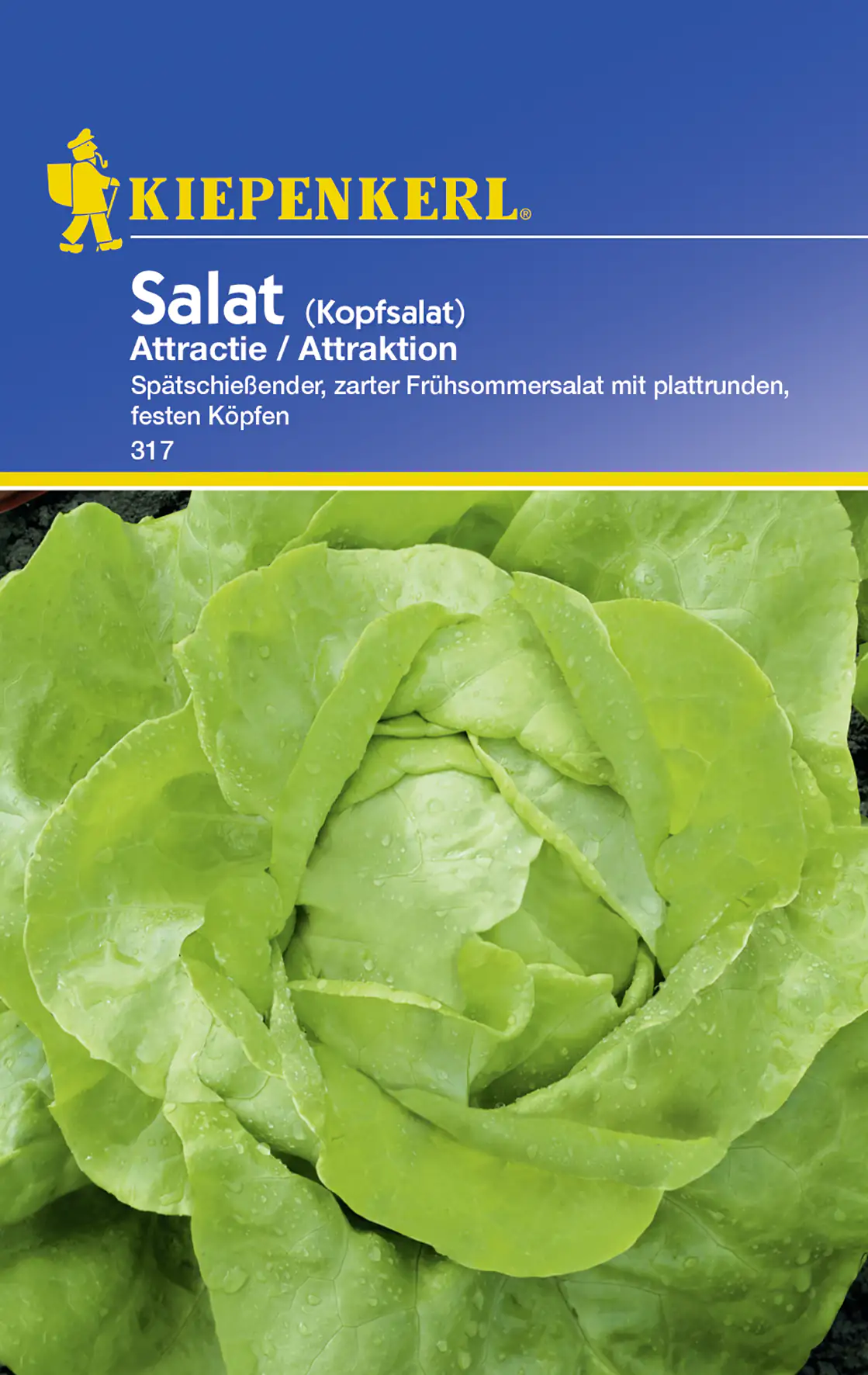 4000159153172 Kiepenkerl Kopfsalat Attractie Lactuca sativa var. capitata, Inhalt: ca. 200 Pflanzen